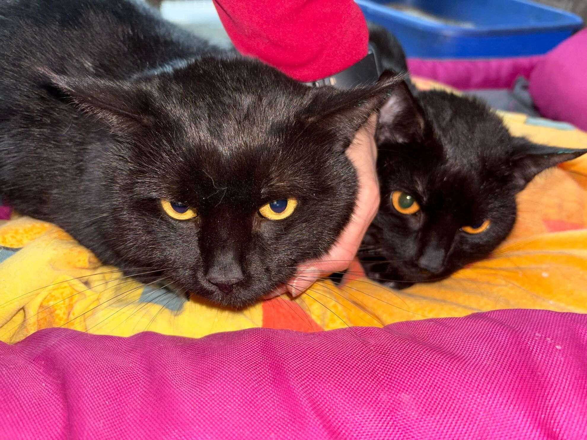 0a690b2abb8b1ee417d30cd740d0a373