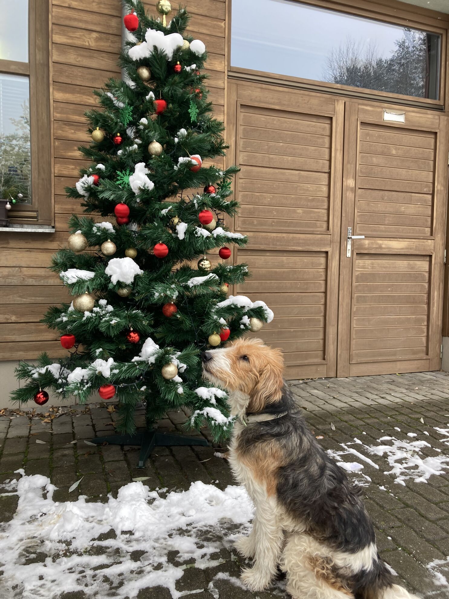 13DA250C-A9DC-48F3-8896-5D3842FD29D2