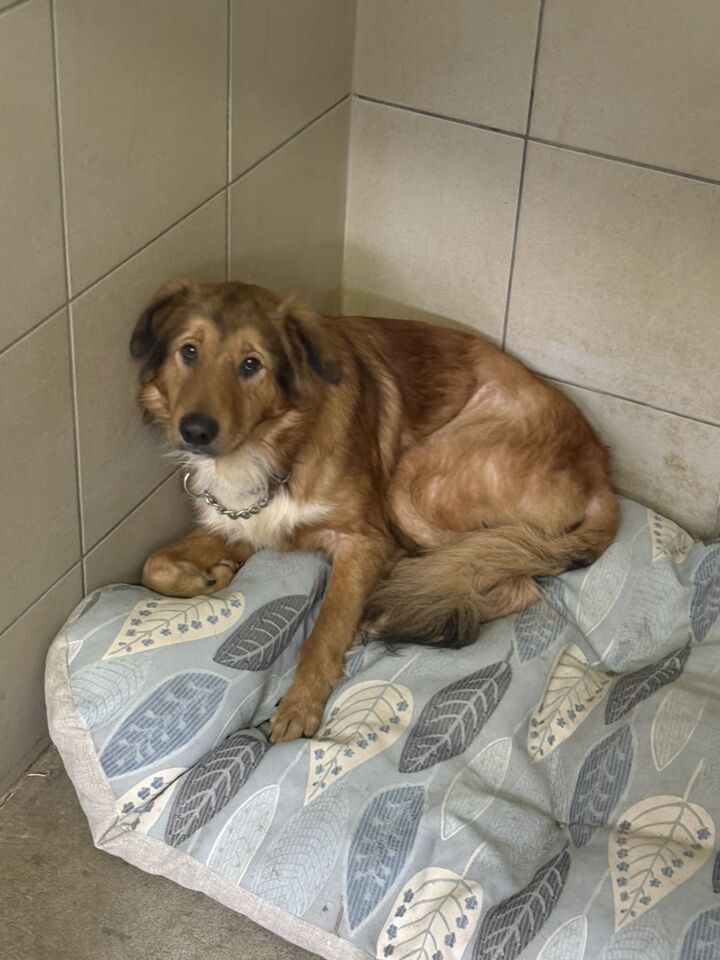 29c4cab929e96035602b5ab339841fc2