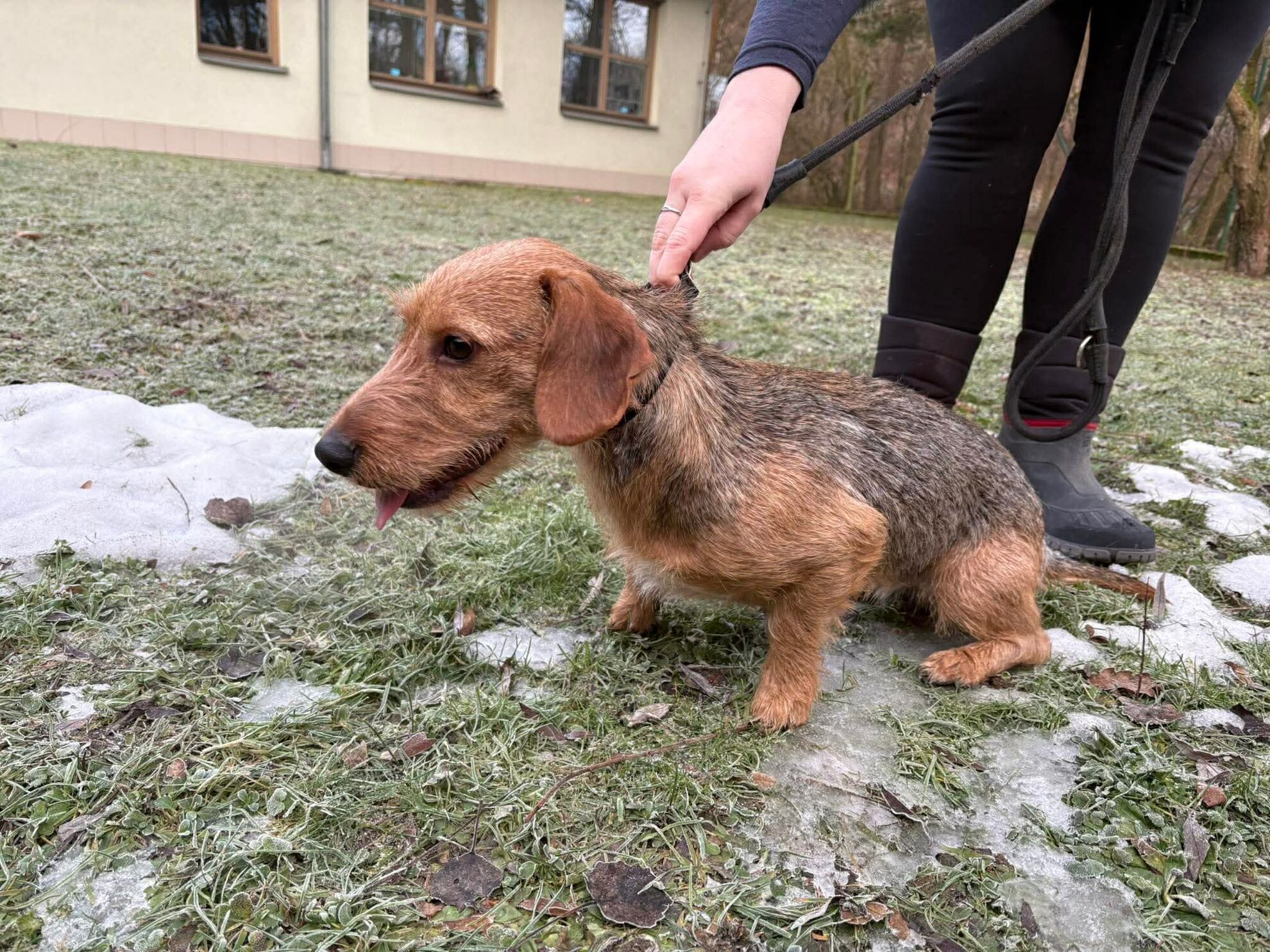 2dcadf9db4bbe88babfd13a07a0584af