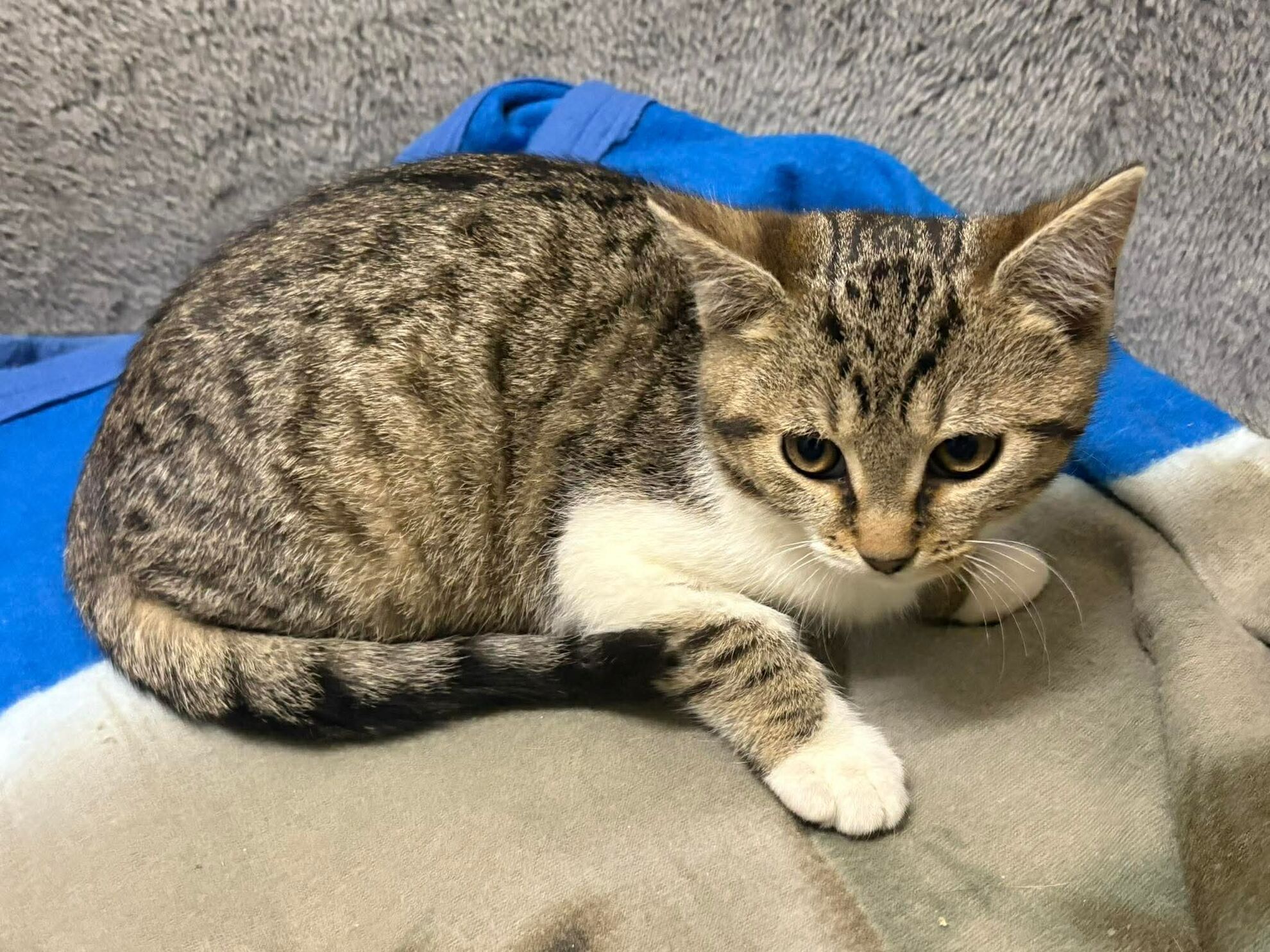 3193a0d6c44462049ce3510a4f1453e4