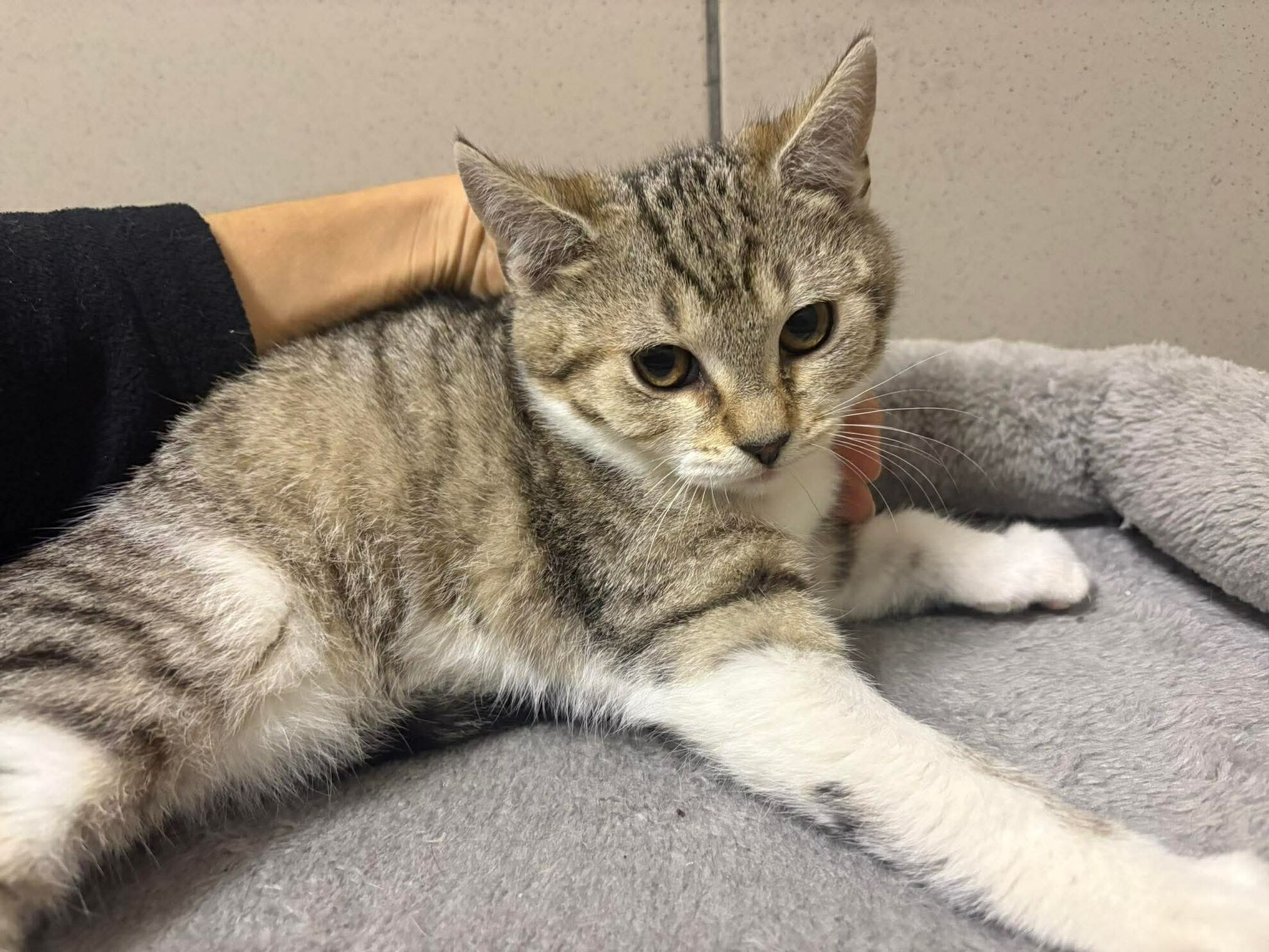 324ad7e217159989649cd8a023f0a9b4