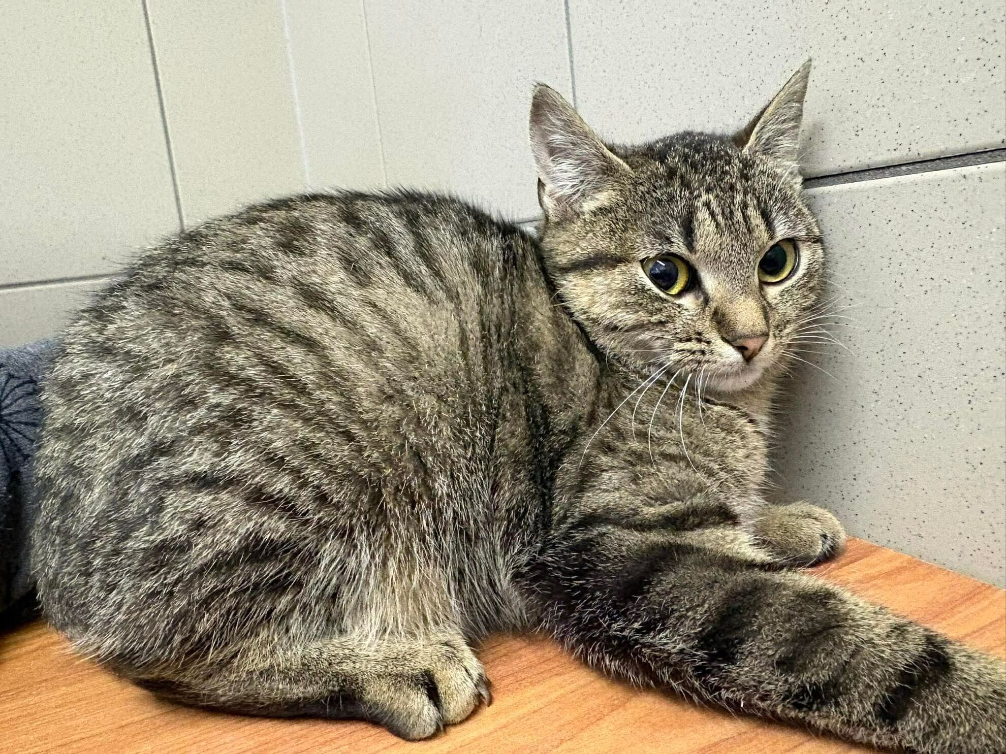 33bcedd49f2ea6c09a105a8a0d0678b5