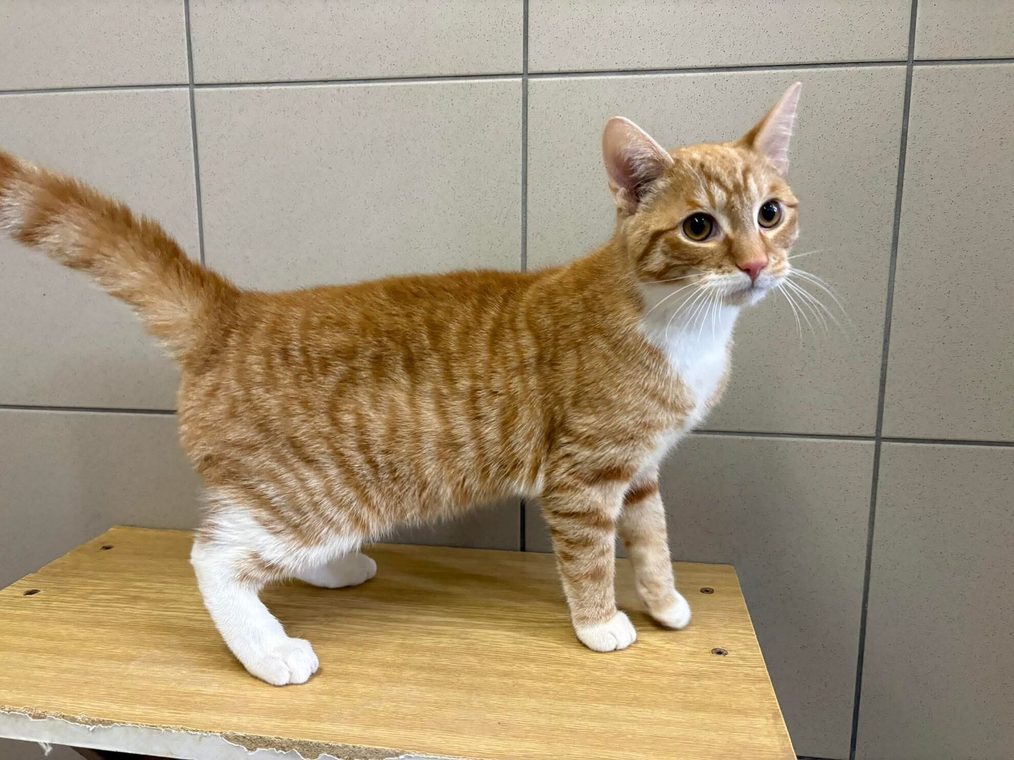 456a0f276ed08c92083847d328db7cd3