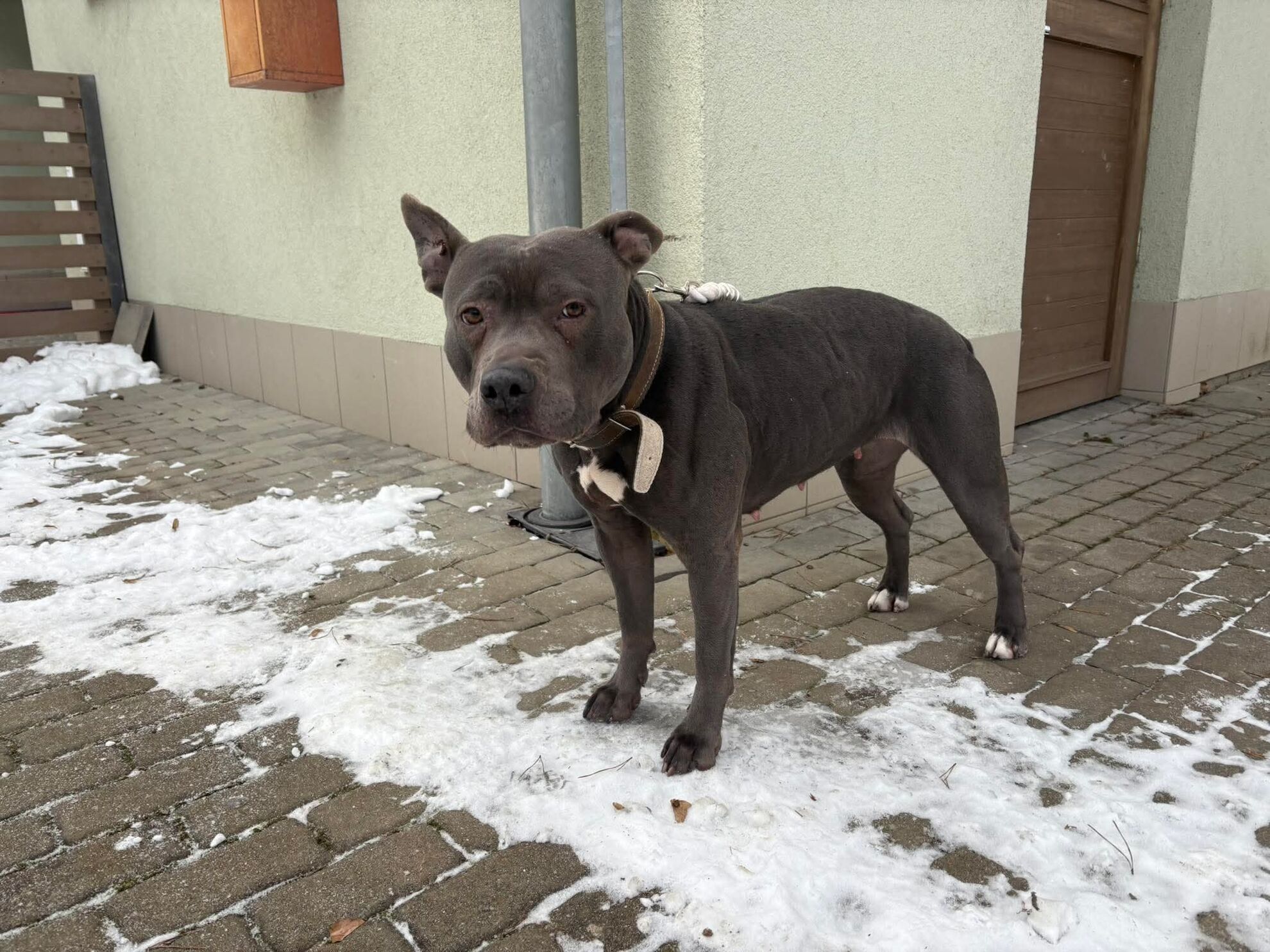 4a6821cd2ab6a994edf0e6bd6244705f