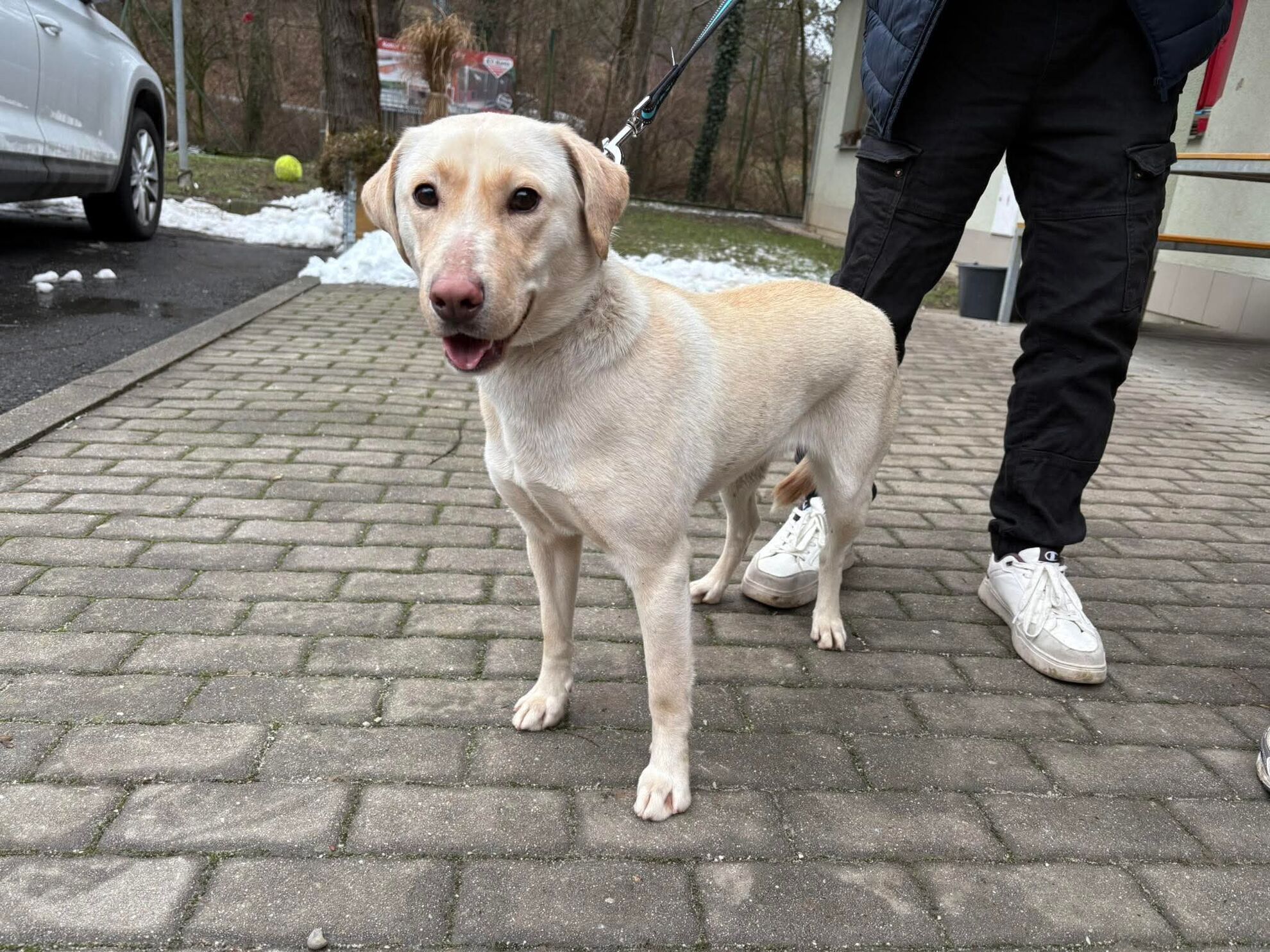 5428cb820c44359d3f8e44f52a181684