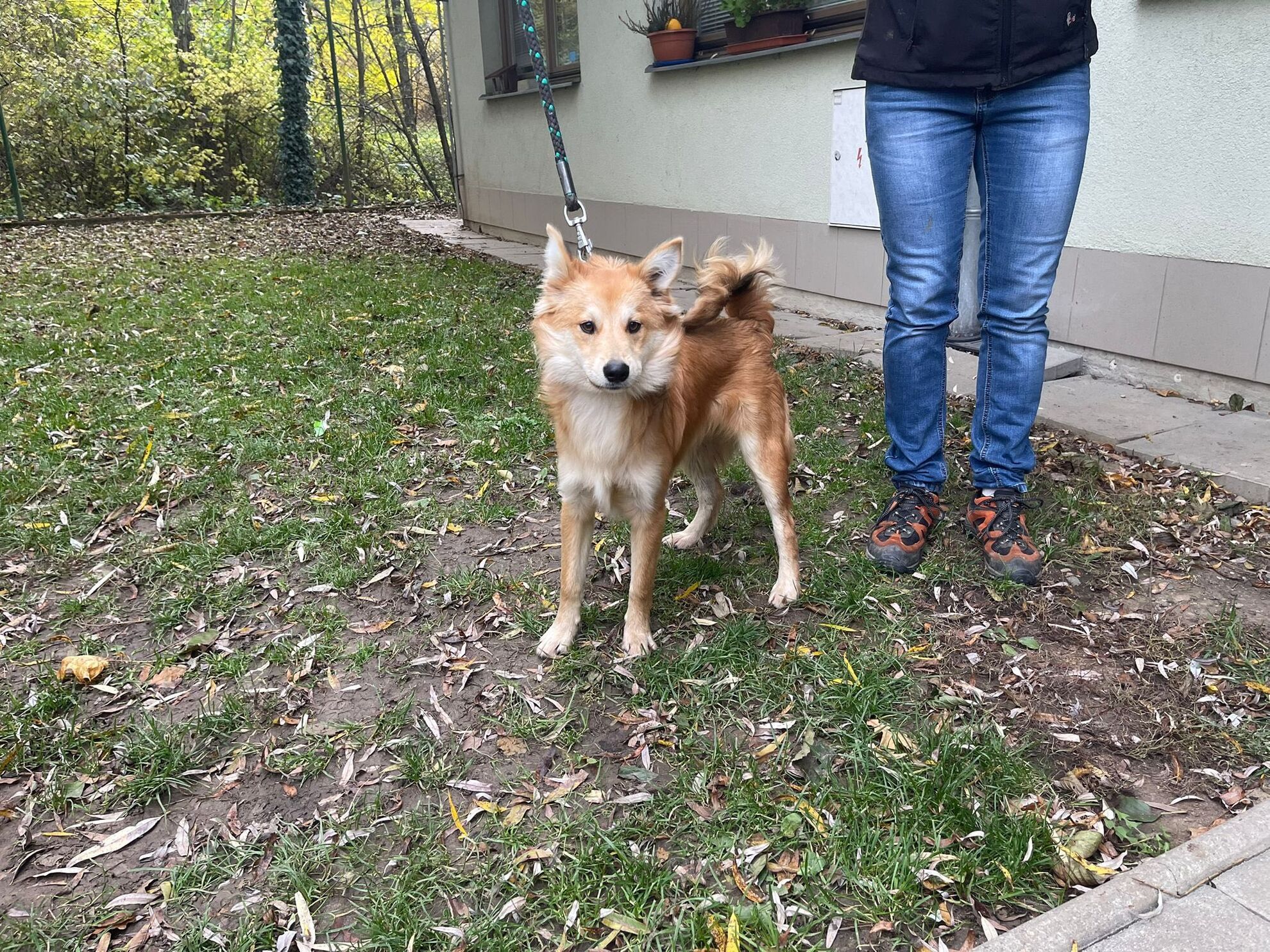 573358876_1138325255115134_3316806237442596641_n