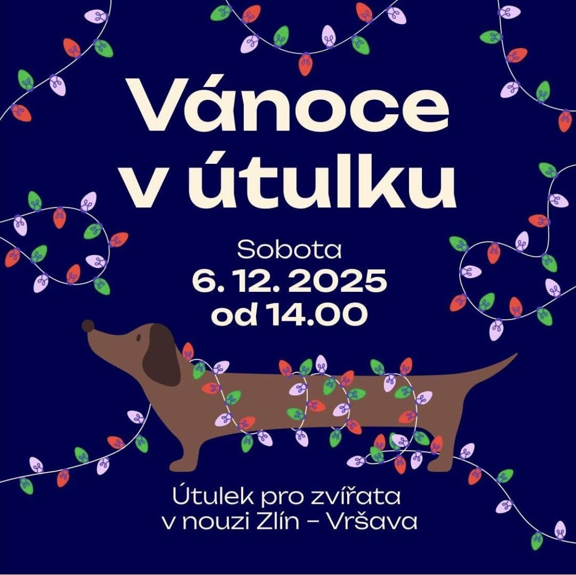 594113837_1168310442116615_4455039402195890898_n