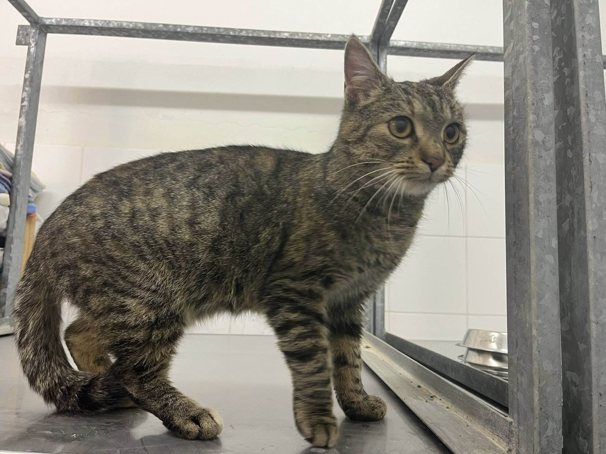 604818417_1186048120342847_7705539663945686266_n