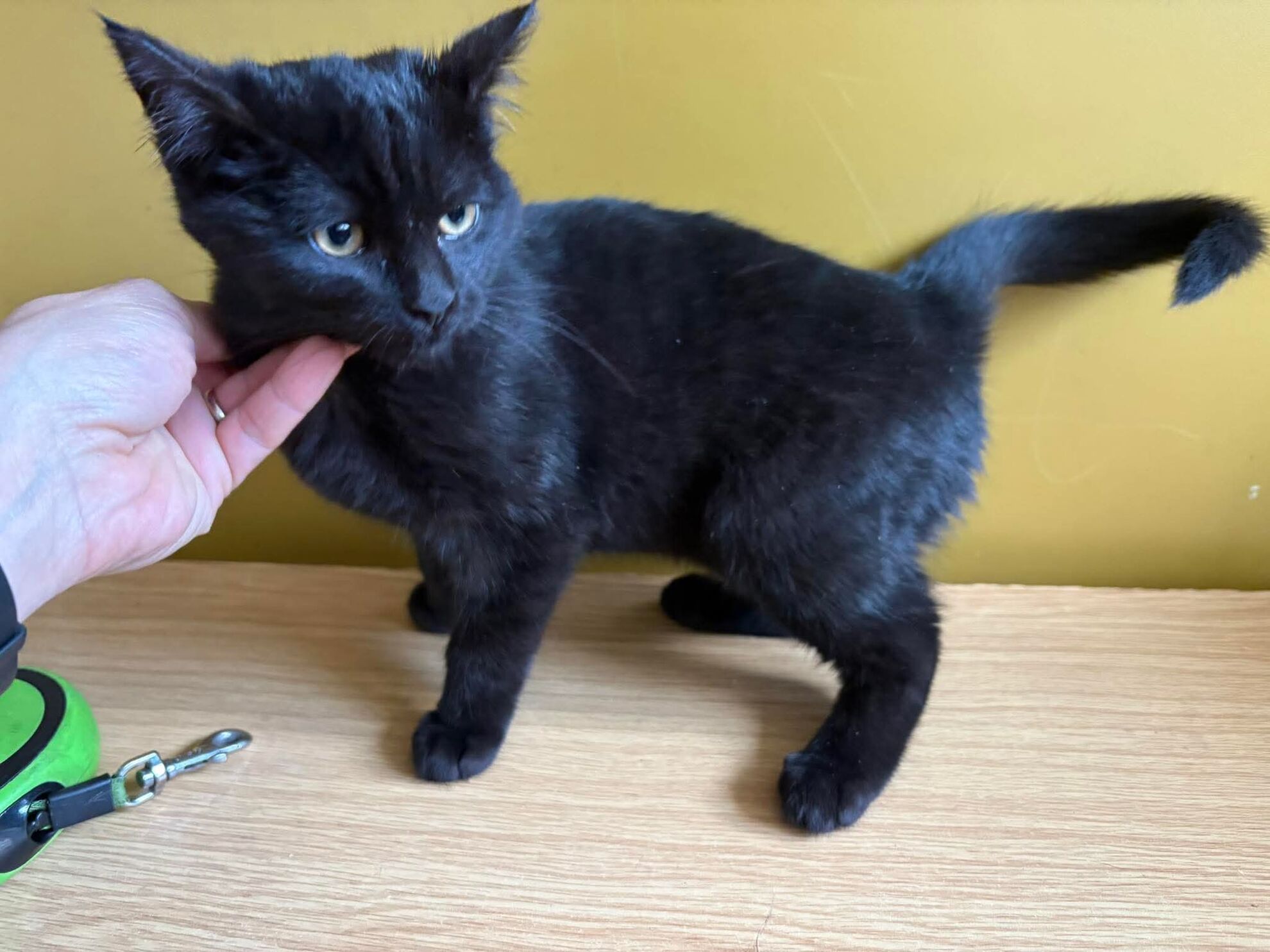 60cc0f6a63b133ec7a68fcc730b210f4