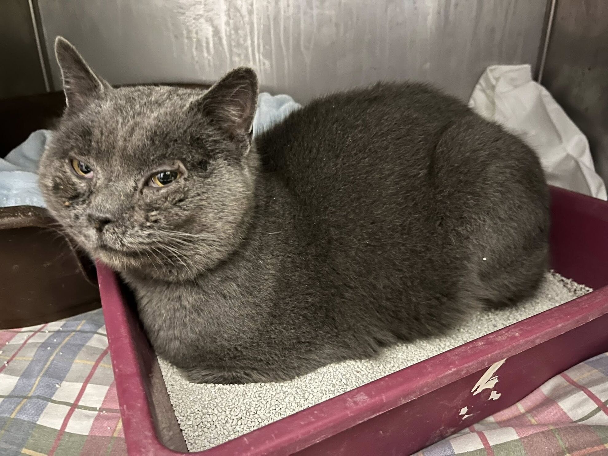 612408346_1194189312862061_1309145758478501976_n