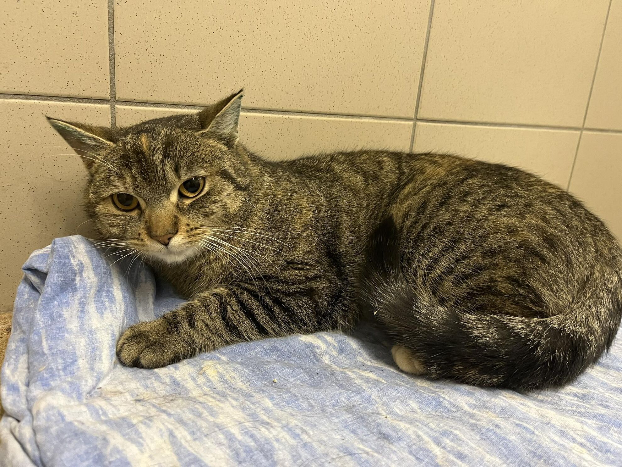 628494964_1216037634010562_2131906554861291718_n