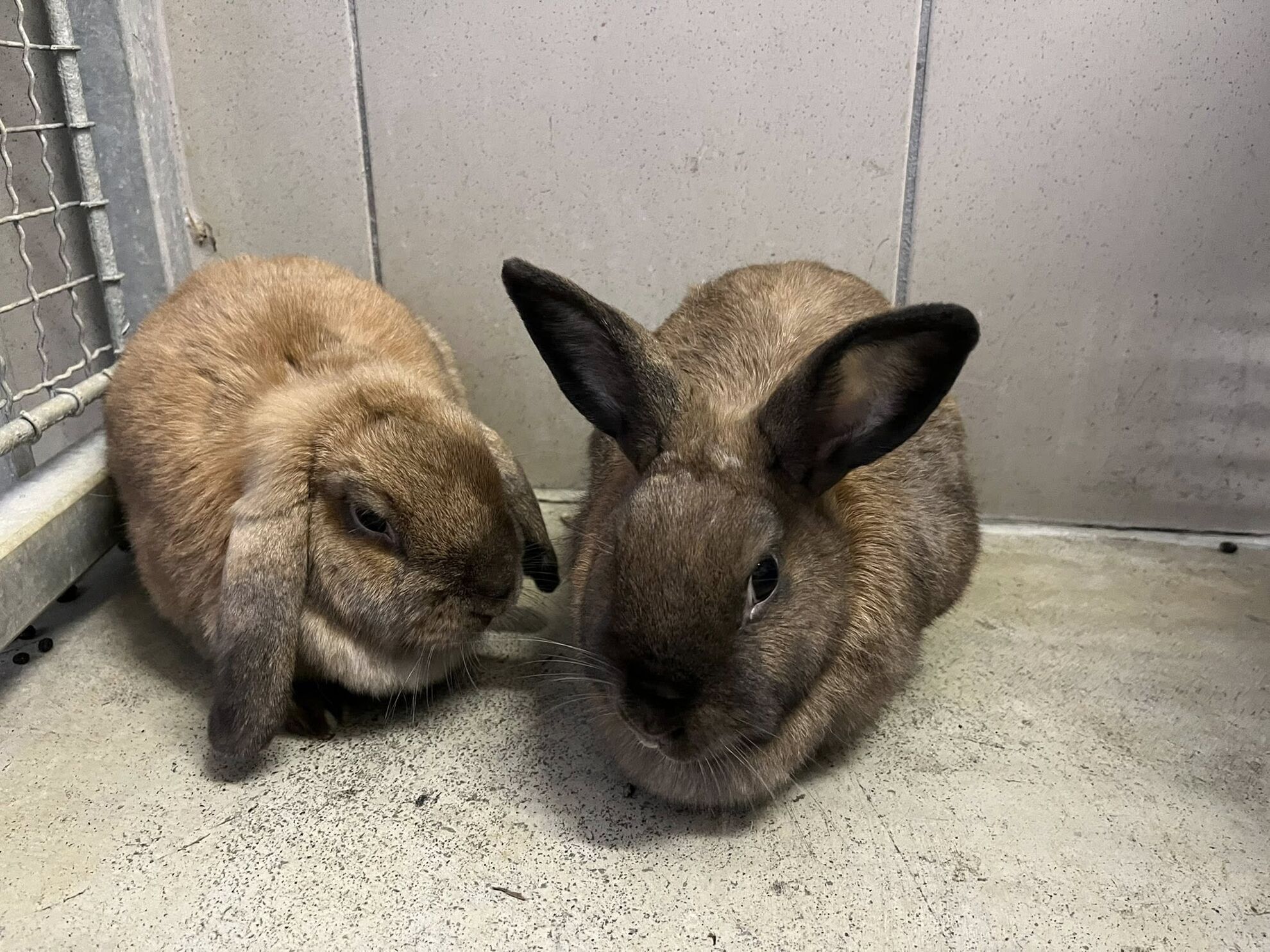 639516707_1227711649509827_8203176269258764421_n