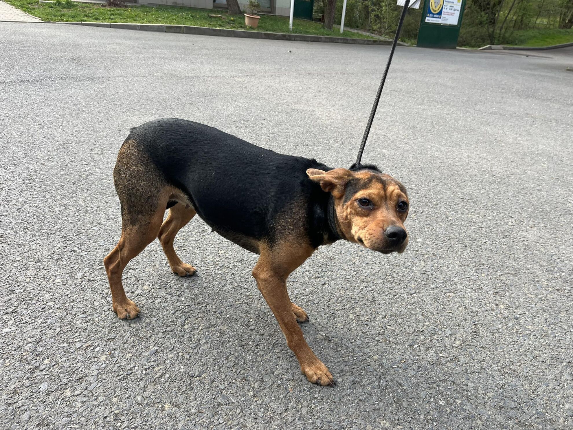 673130935_1269592525321739_6639035205994455773_n