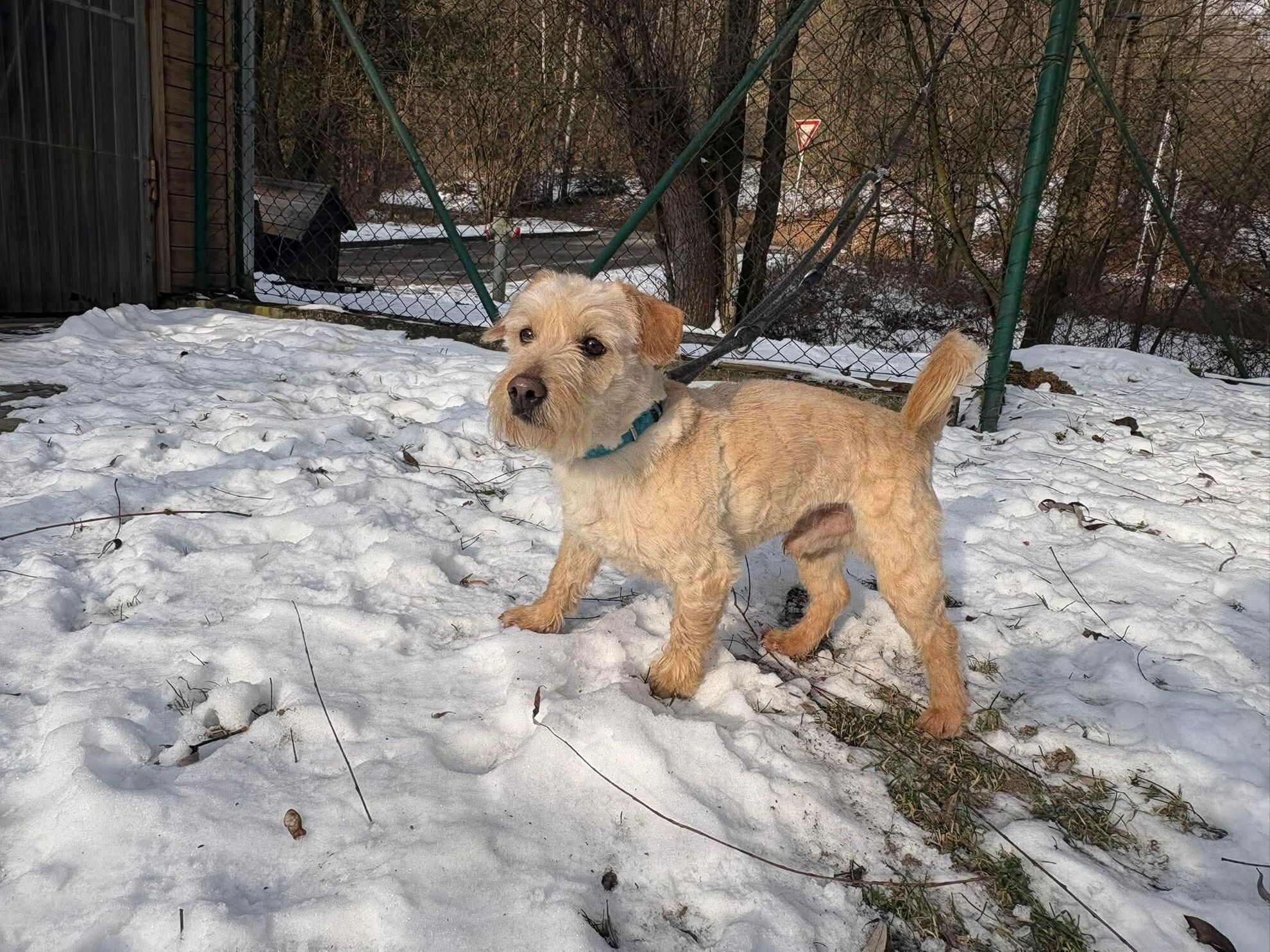 6fc7cc29348b6541abb1dce02ff9975b