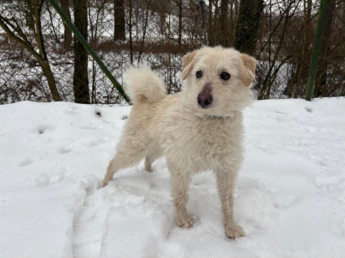 70bd5737b42ab729fb2418cf8156cff1