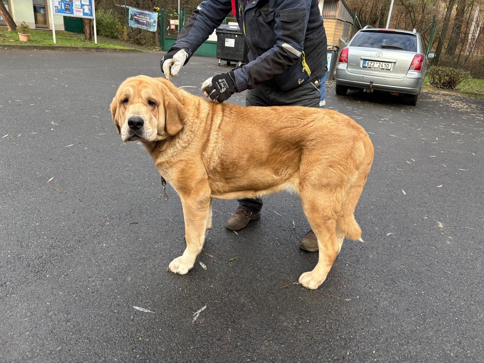 820aa427-98d9-47c8-ac83-bfc21fea08f3