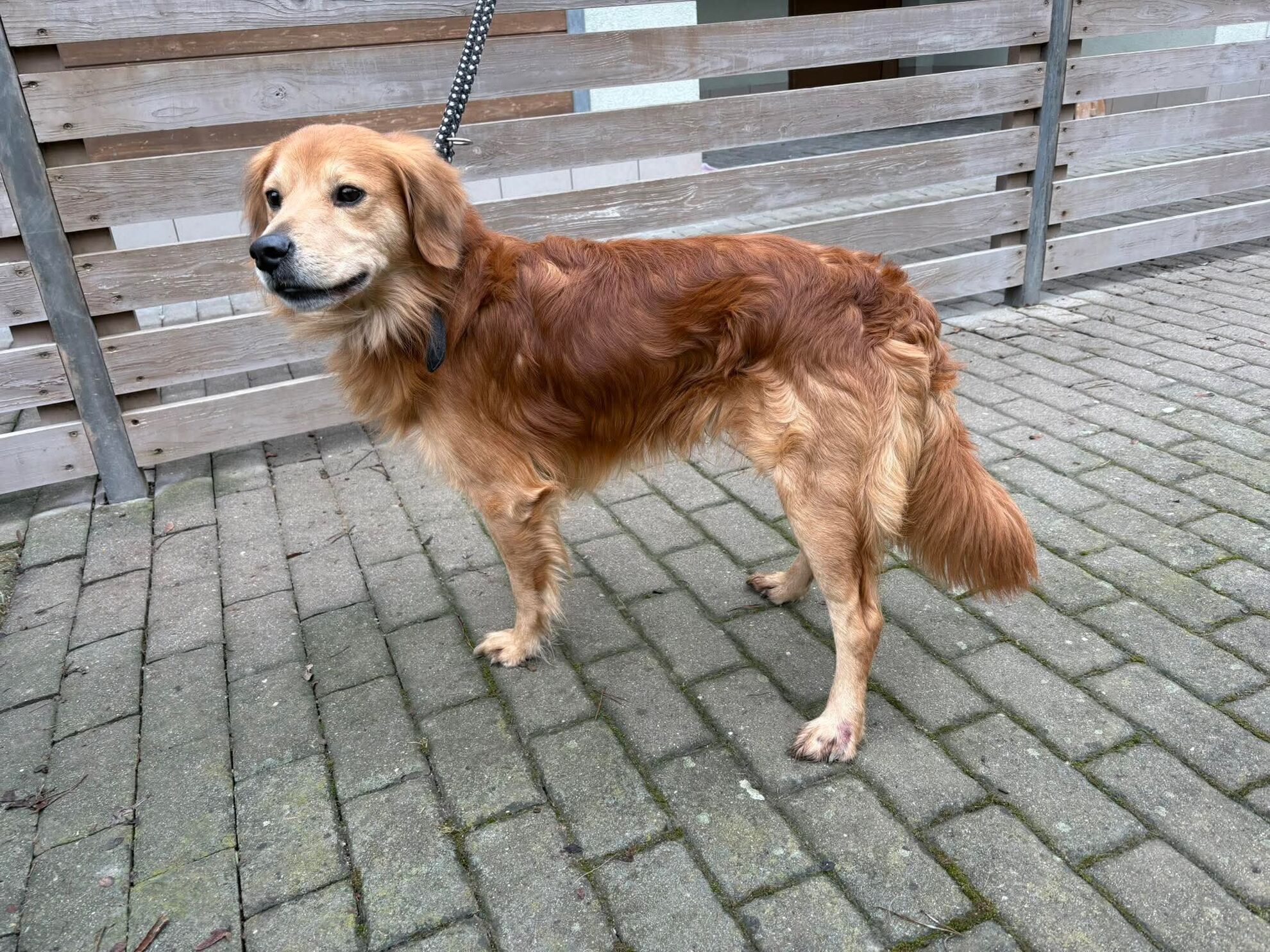 918f98dd8c031d0757f8b66ea4c9cce7