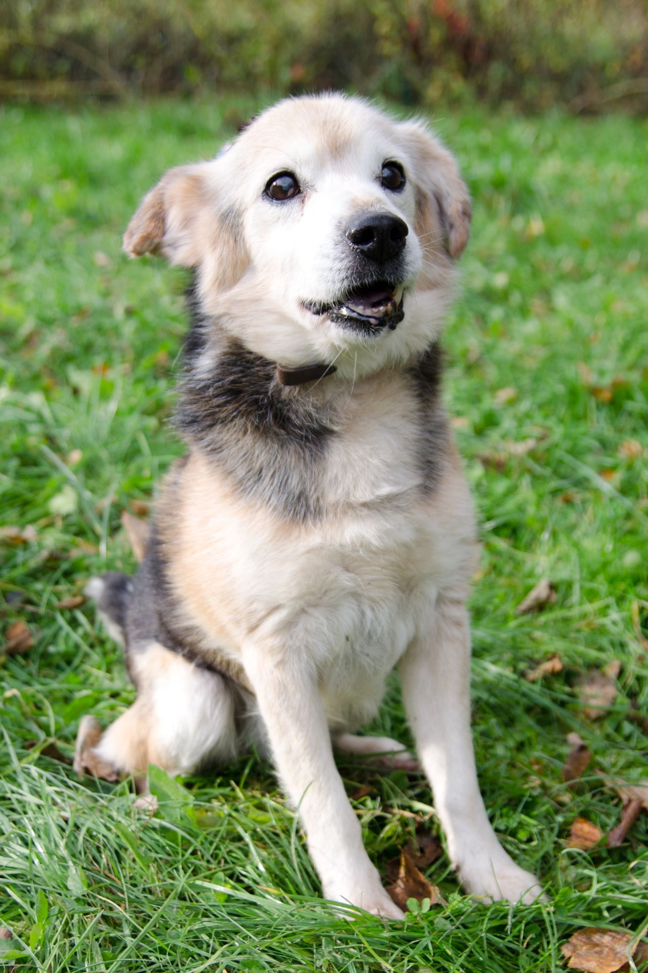 Bed%C5%99ich-2-men%C5%A1%C3%AD Bed%C5%99ich-2-men%C5%A1%C3%AD