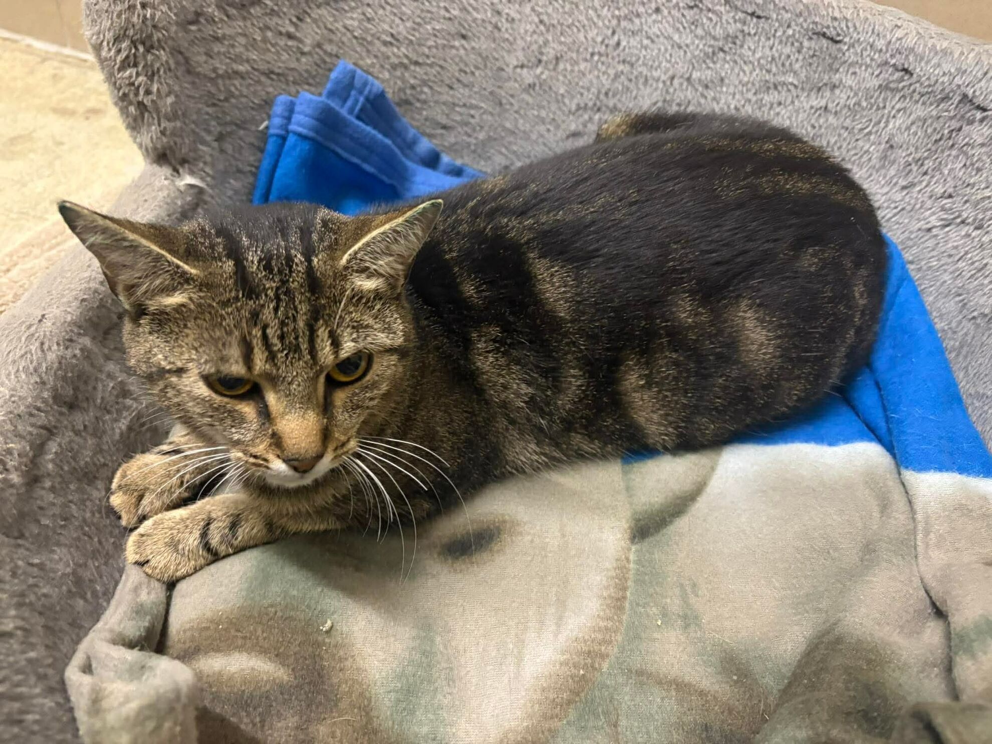 a00b9a24e6a3860559be5f9c145ea10f