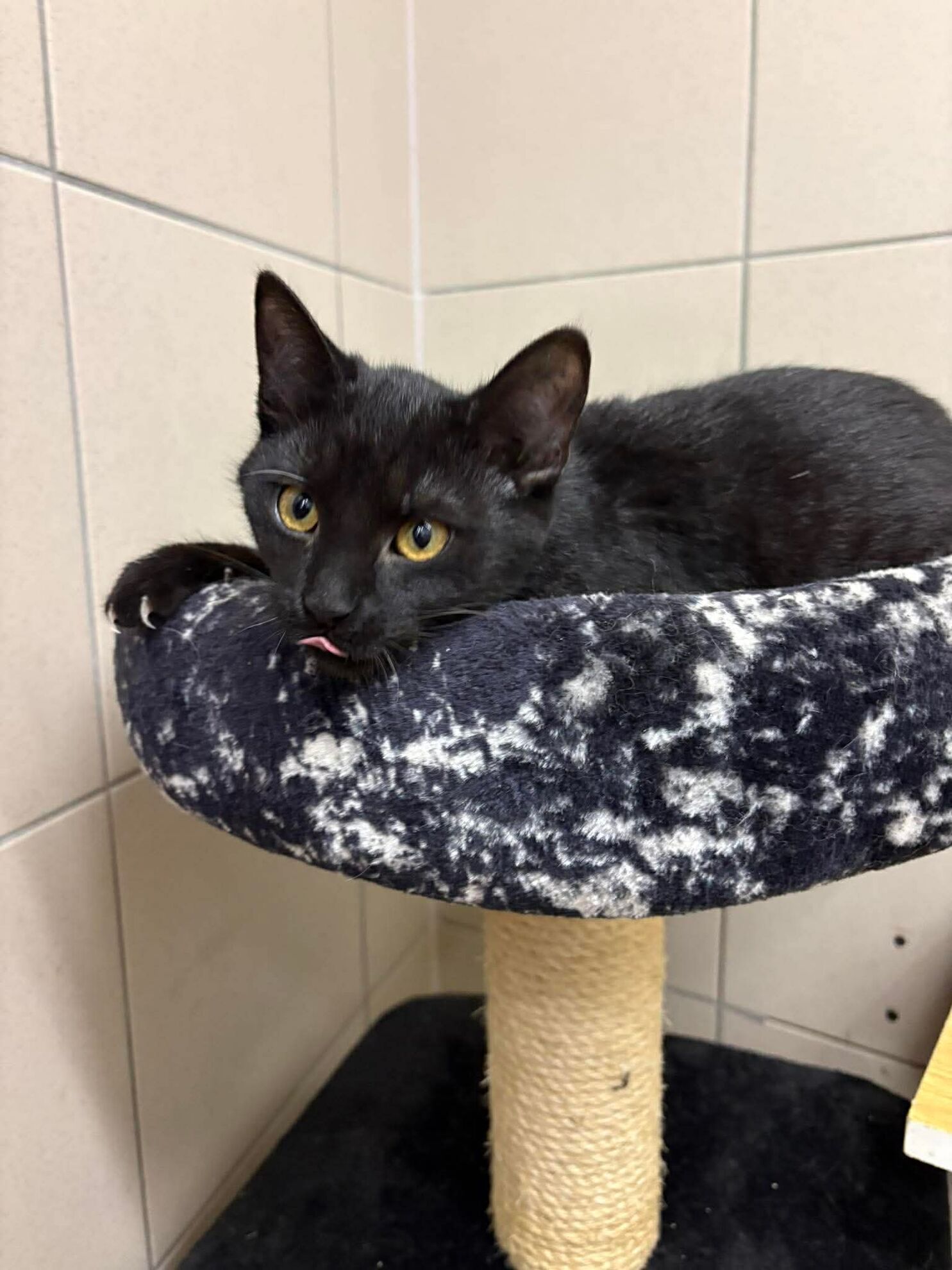 a34d0331b3710d80dfe9224dfa46be44