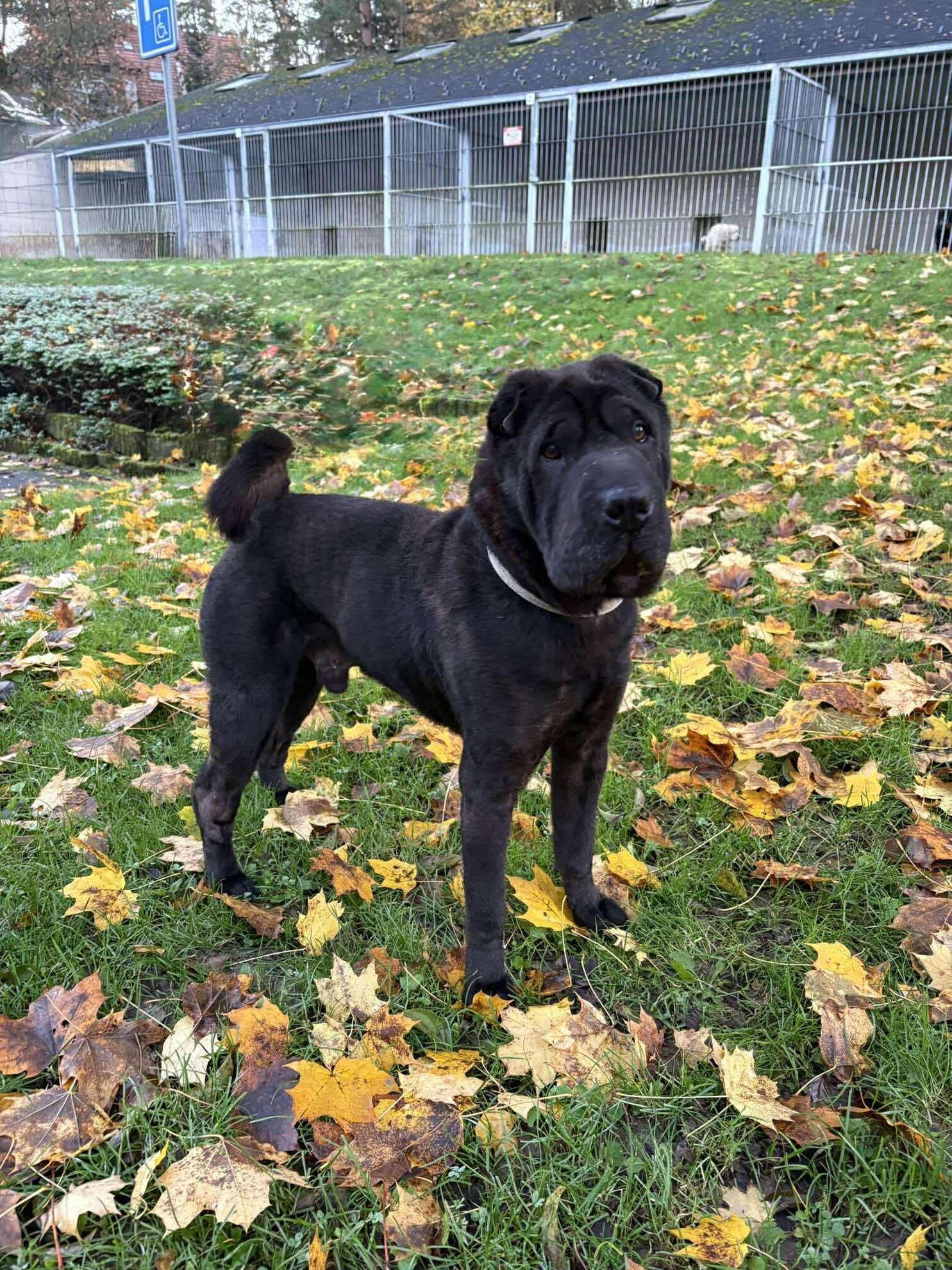 a919ef6da3ec21db155aaa9df776c910