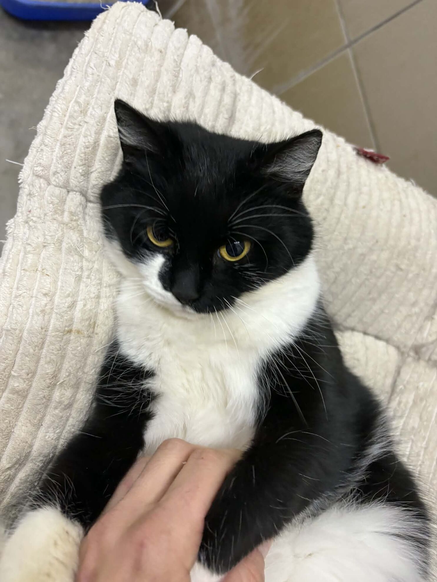 att-XH_93jFUqQJHo4v7XUWX4whC8GFxmPV6FVoKsk5SD4c