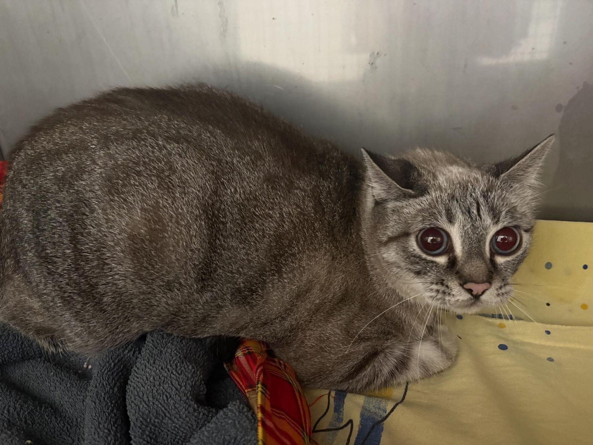 b4d216aded2af1a6248f5ef09a902dc5