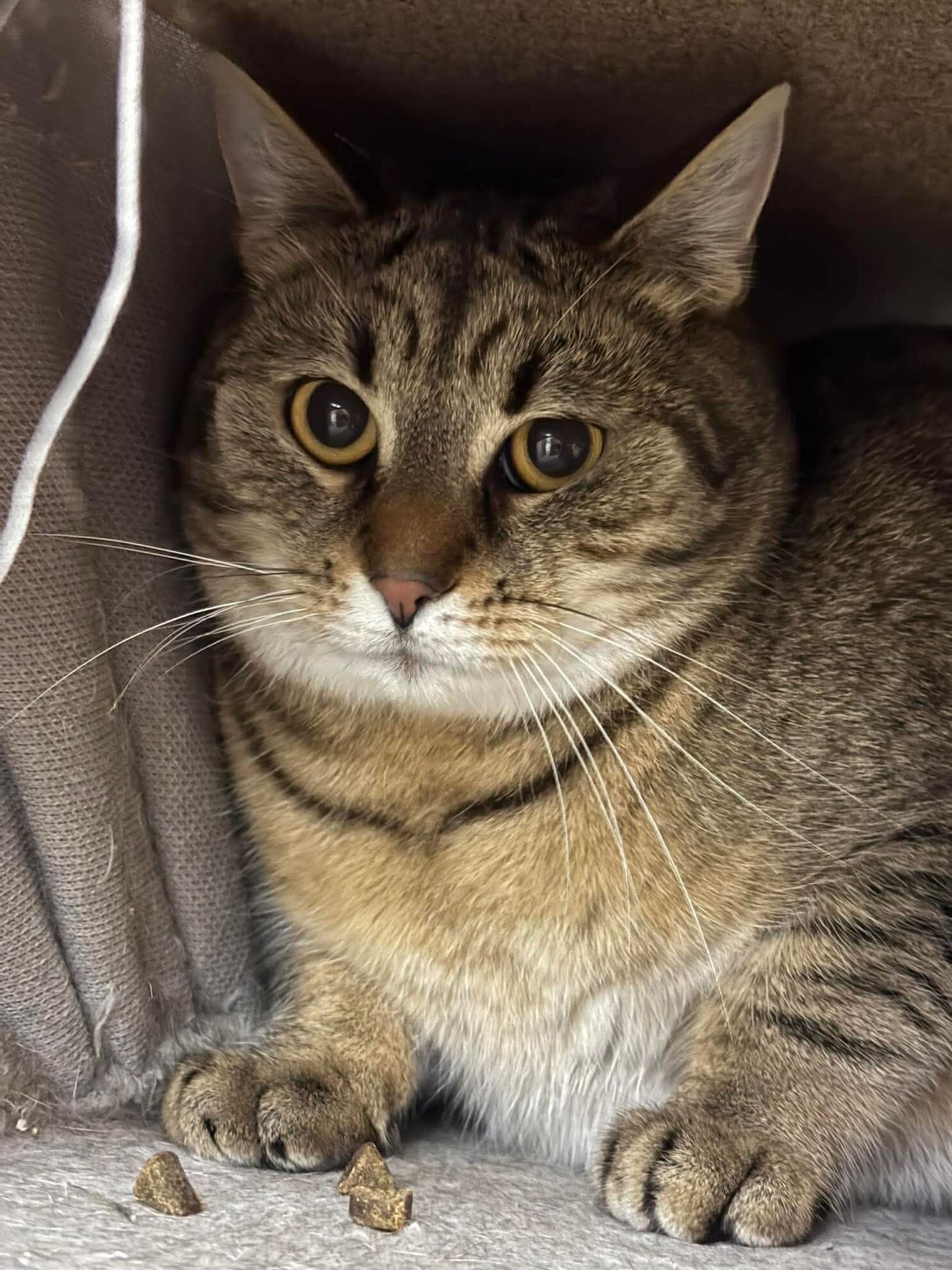 b532df779067b5fb603e81e14e27bc0a