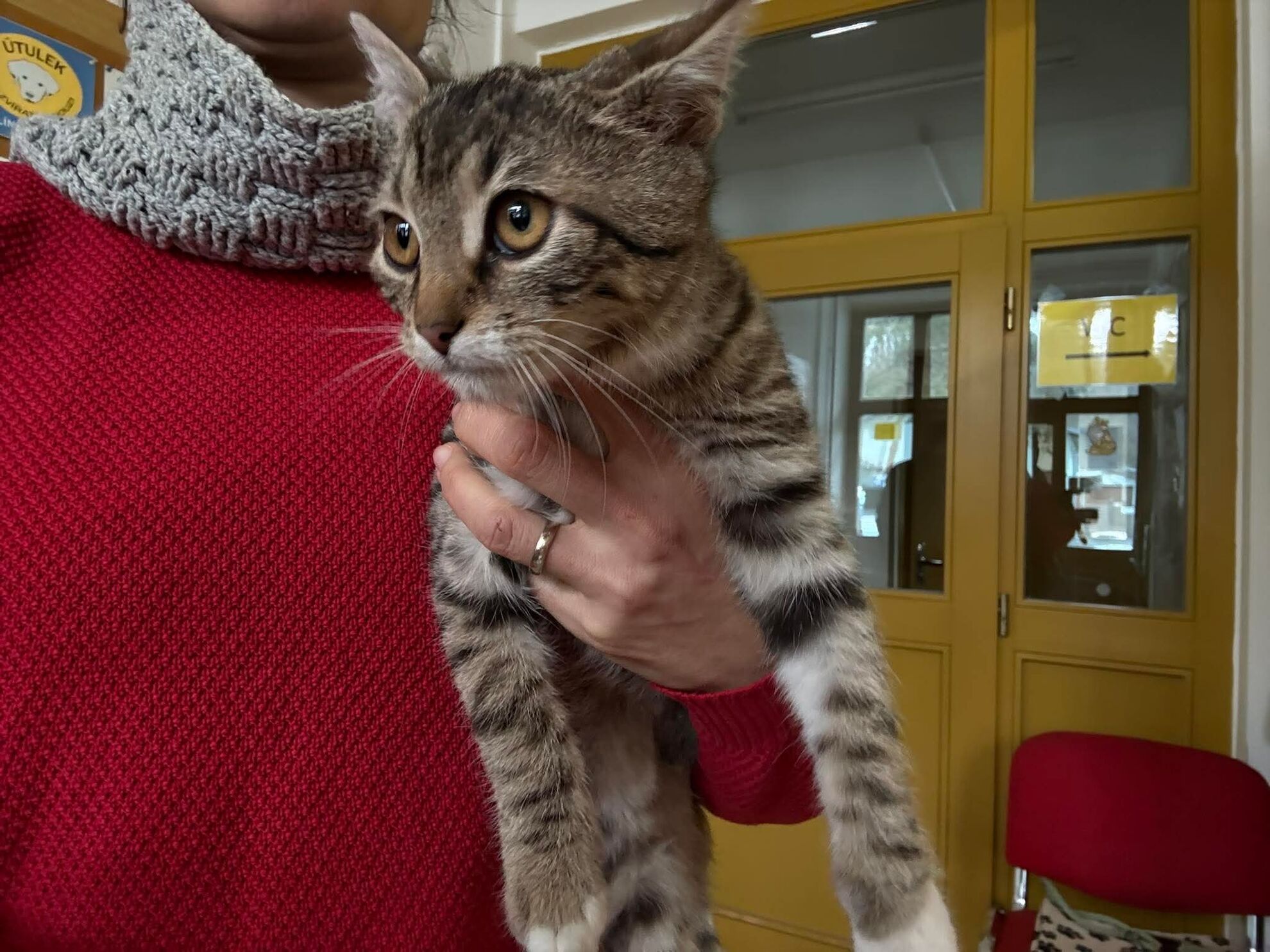 b98c14774dbc5ec1a69024d34cd4af28