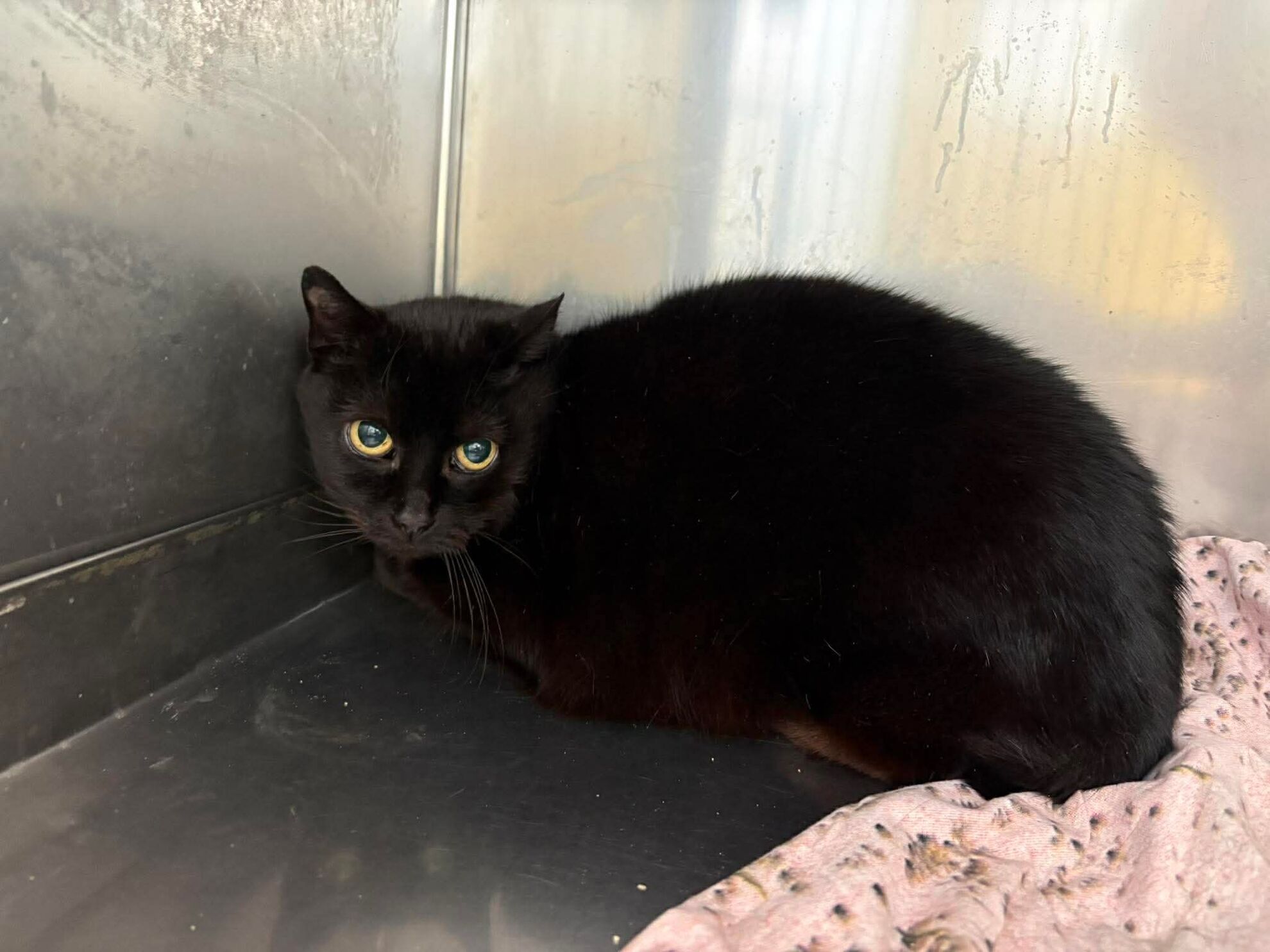 c93387c31a9b118c2458a187748ec16a