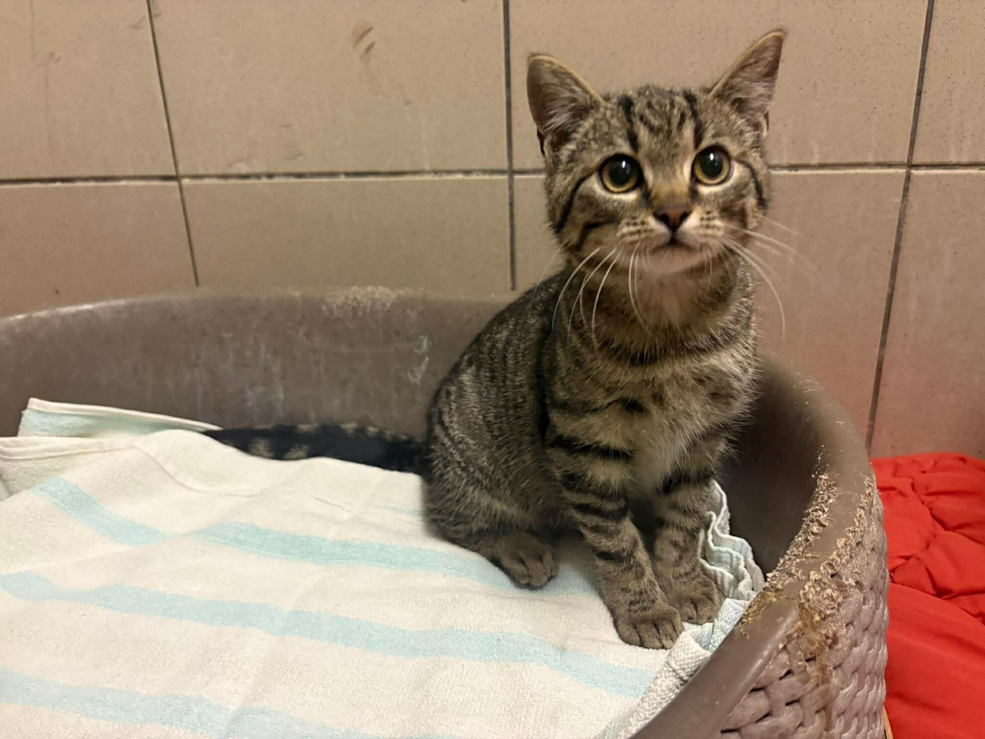 d0e27c29a8e5dc65a72a6364d4c433ec