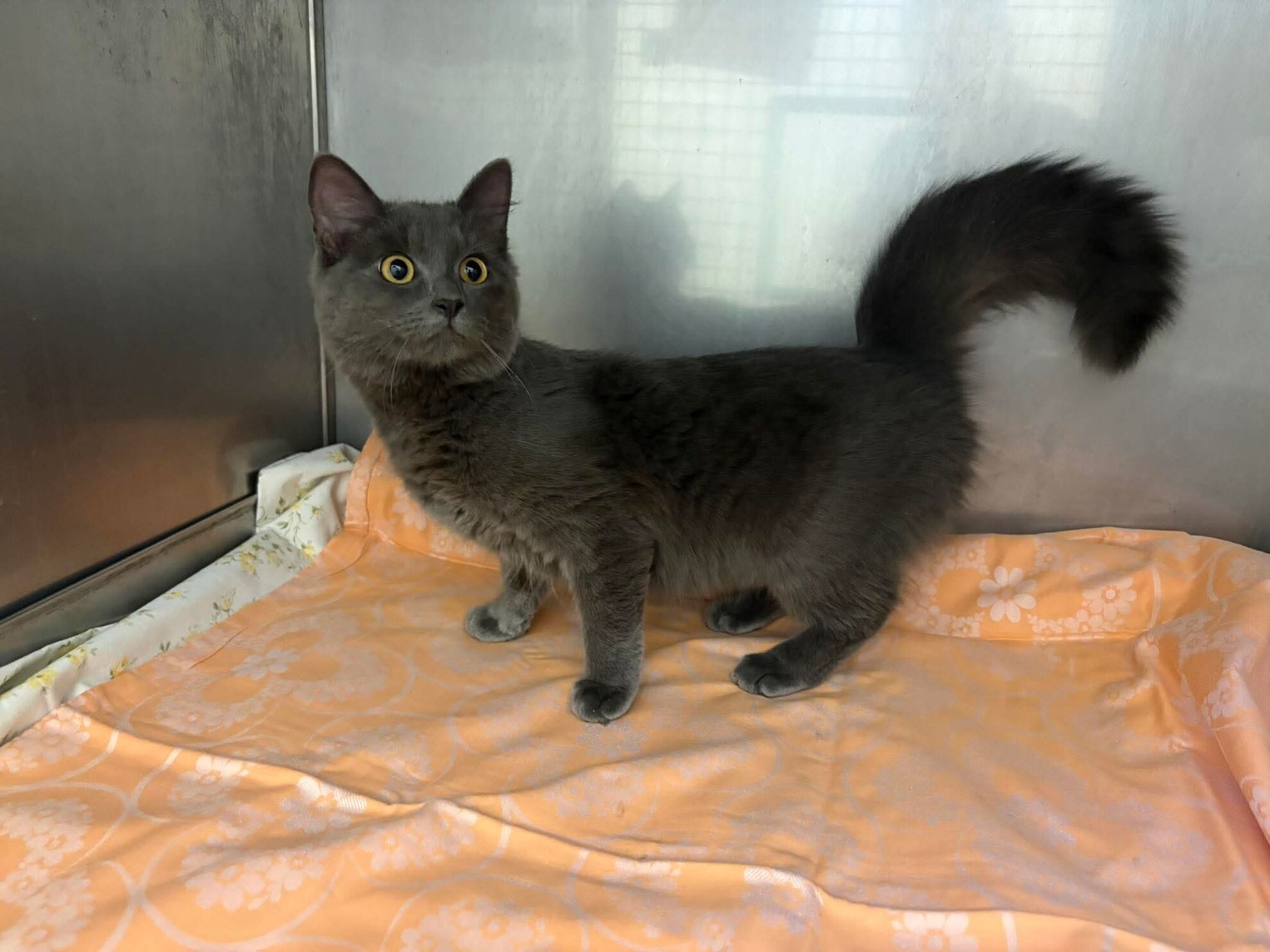 ed873a24d1dae54a6da8212af5816edf