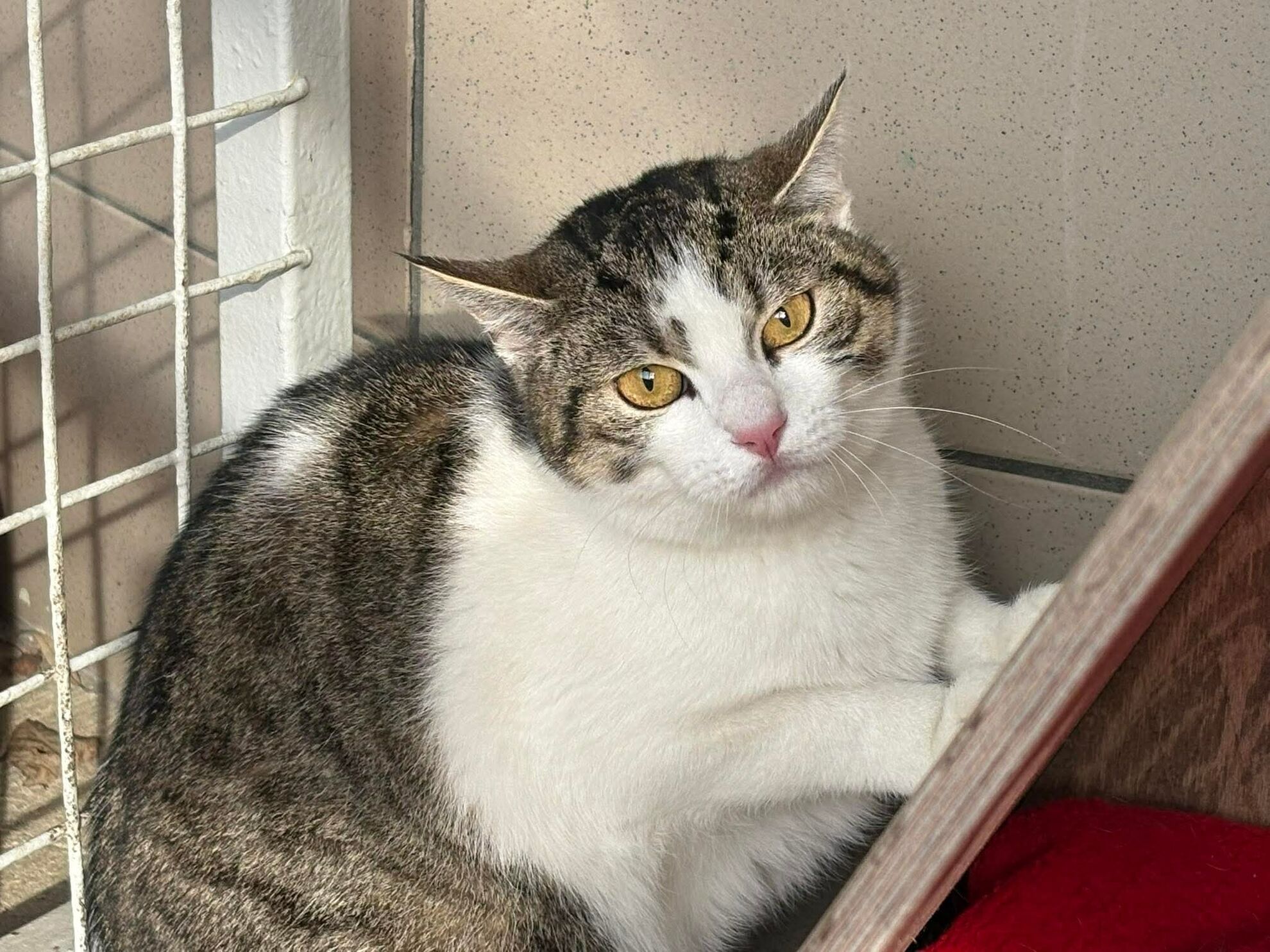 edff5c137996a6eb2c3dae68af7e7ca7