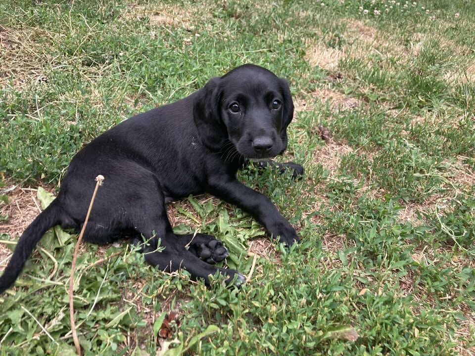 ellie ellie