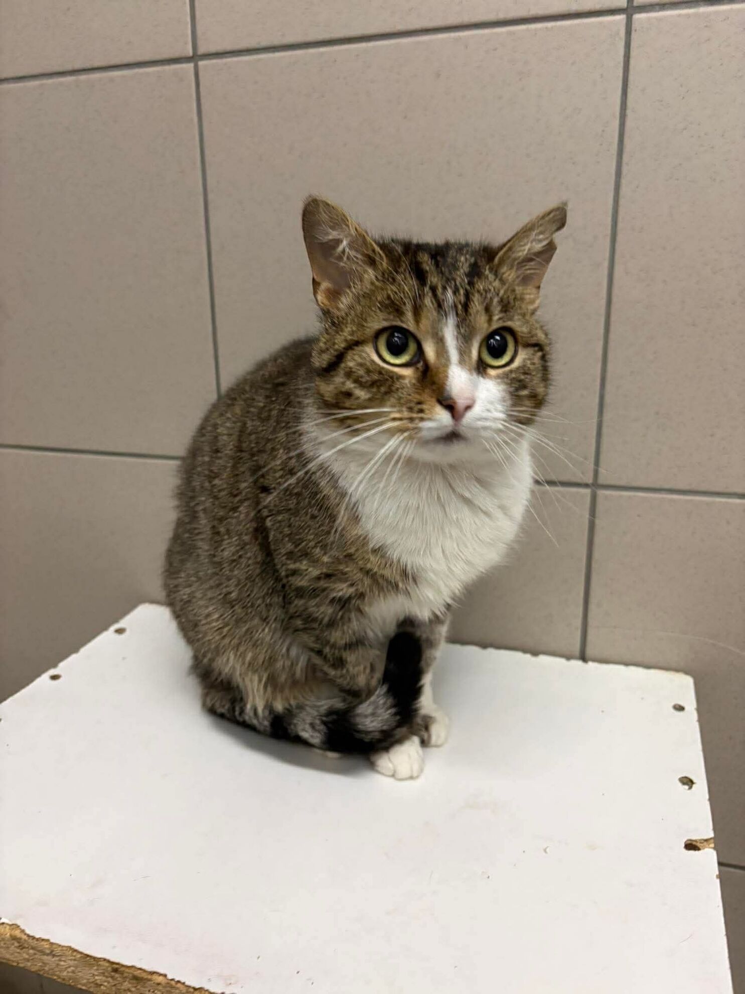 f1c25a94bc7d9d7d8f164383257cd0a0