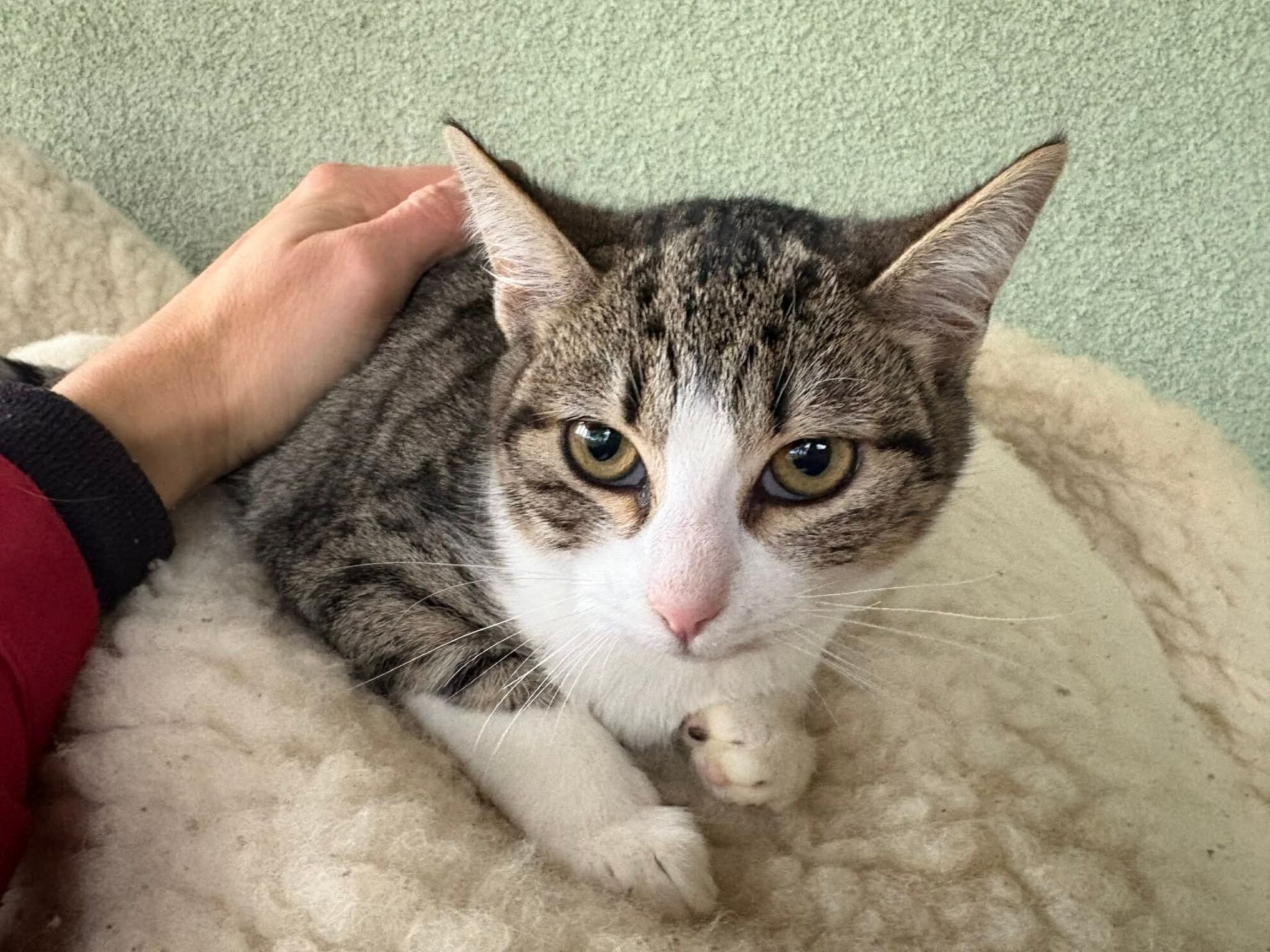 f431fc9a4222c1265c0ed1b1bf637ef2