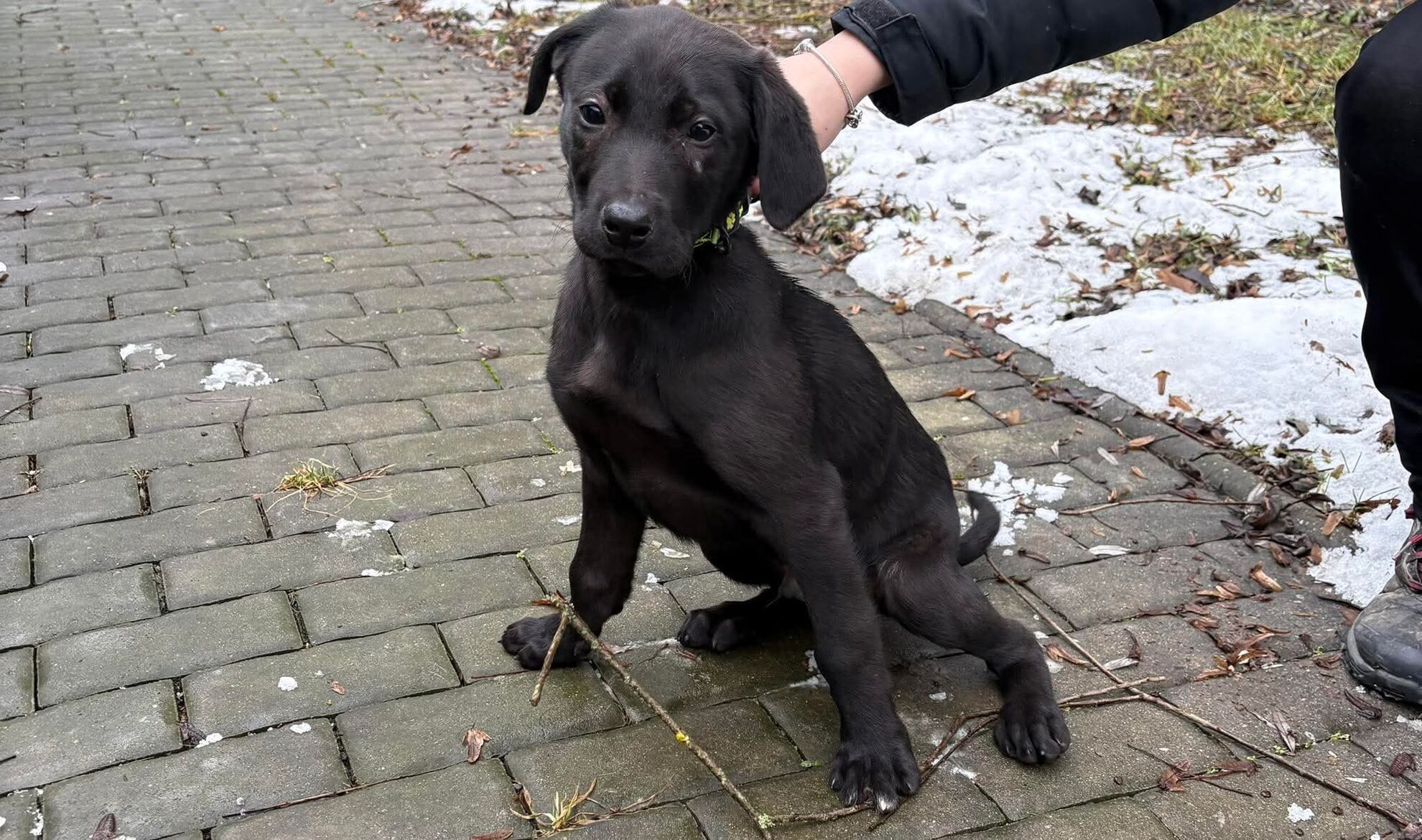 f9e15414daba9e4d4304cc00b61d55ca