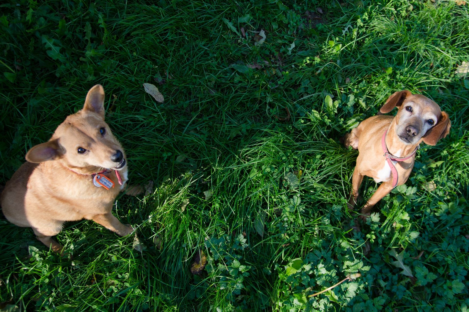 momentka%20Miky%20a%20Kamil%20men%C5%A1%C3%AD%20%281%29