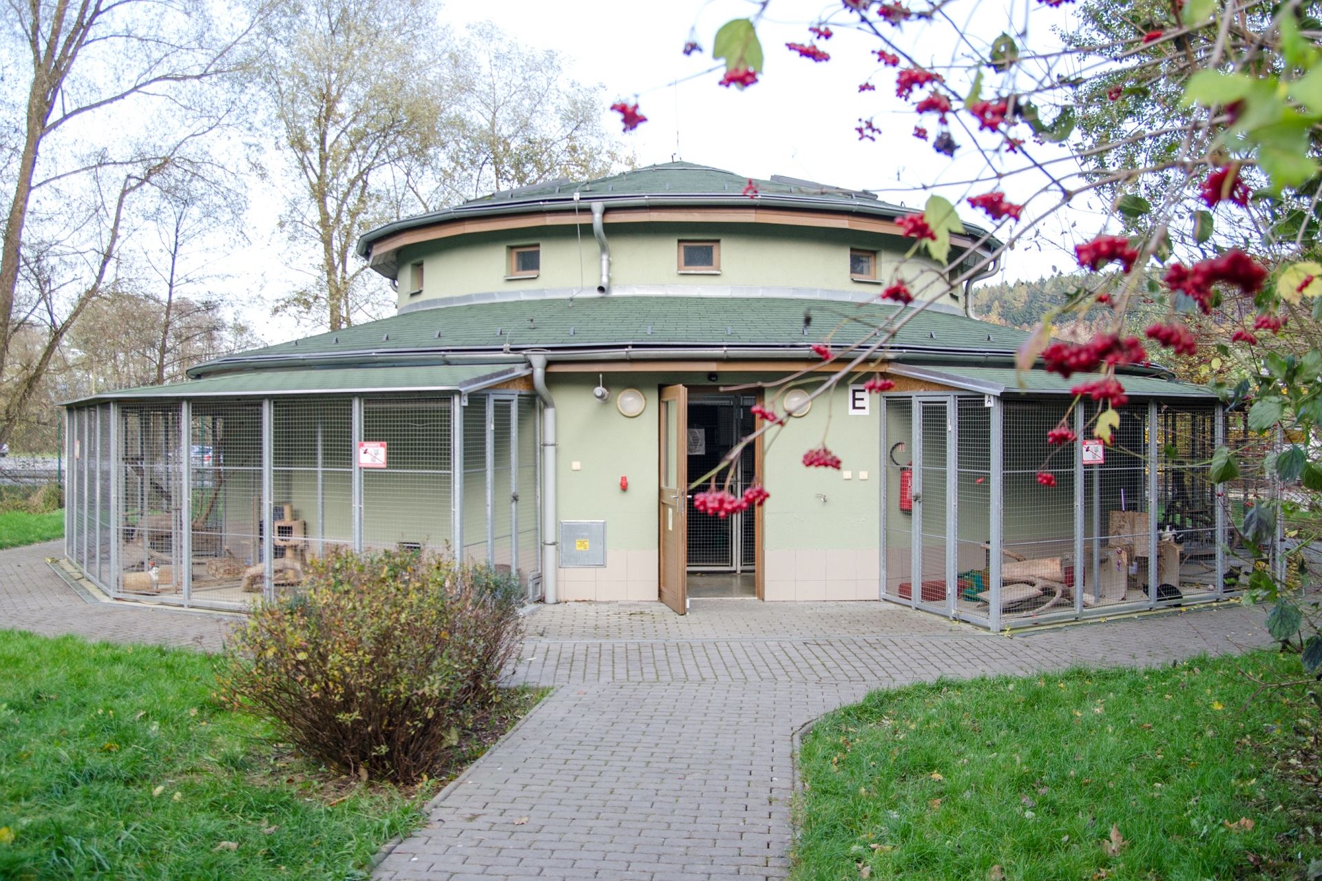 ko%C4%8Di%C4%8Dinec%20mal%C3%BD