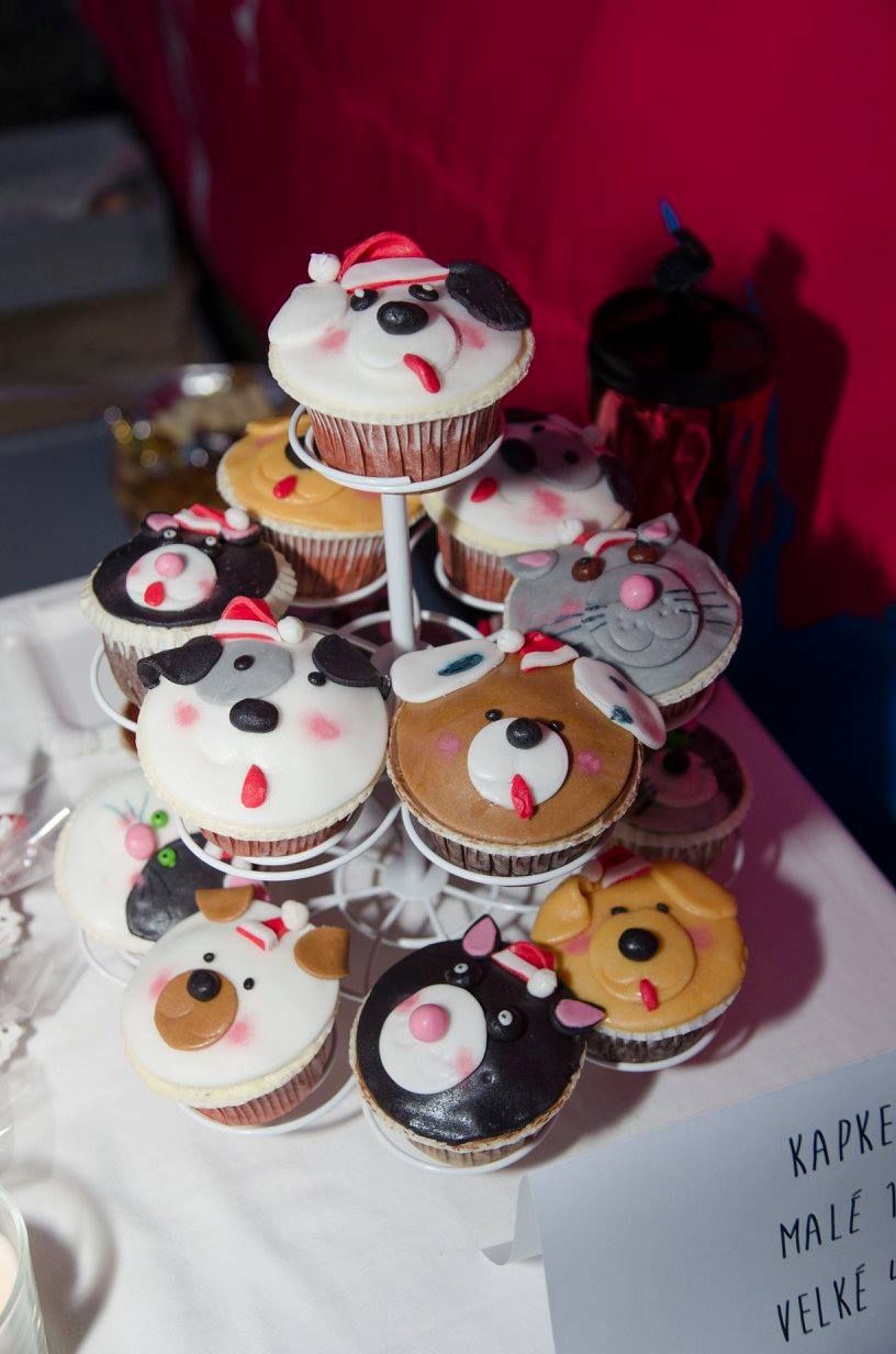 12068681_1094879570536054_4801730791571758694_o