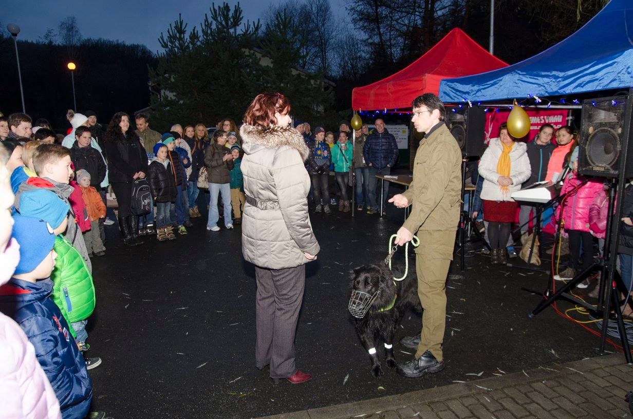 12339200_1094881067202571_3436946341578455778_o