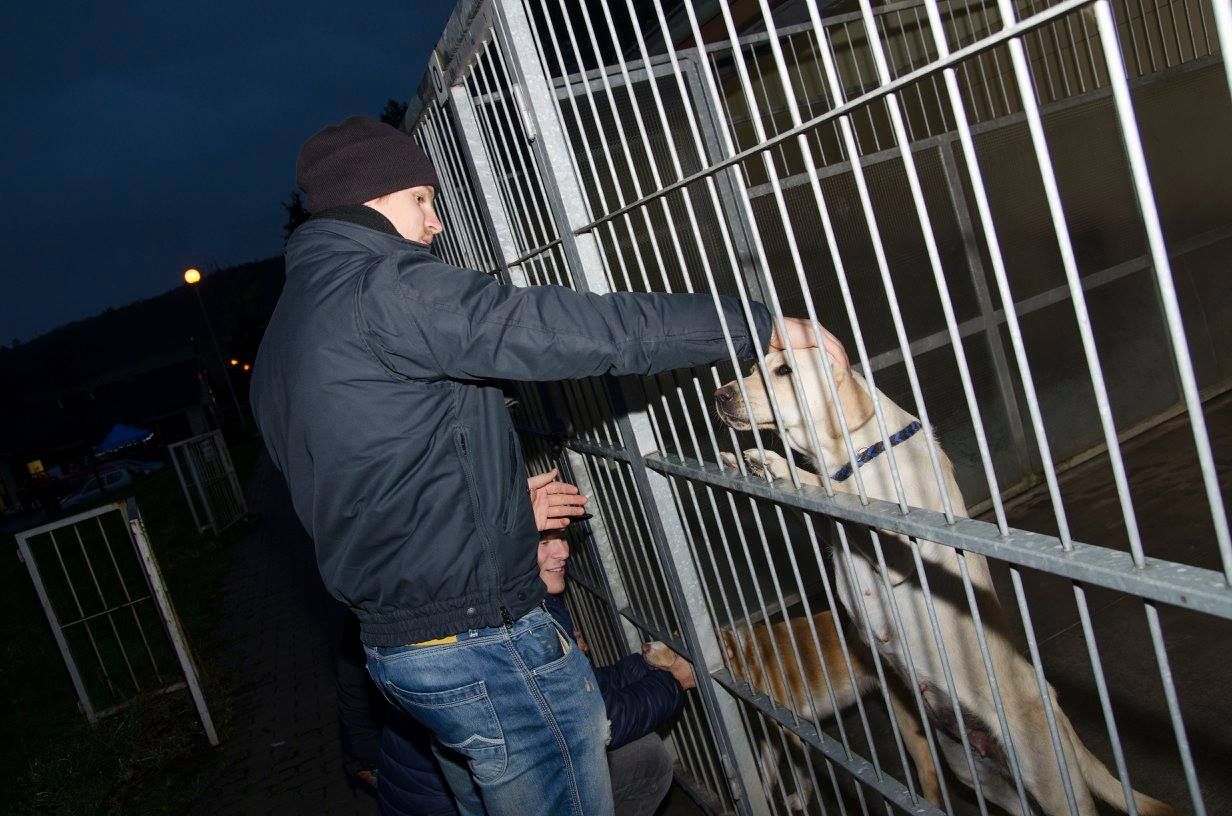 12363162_1094881743869170_8040026763987286649_o