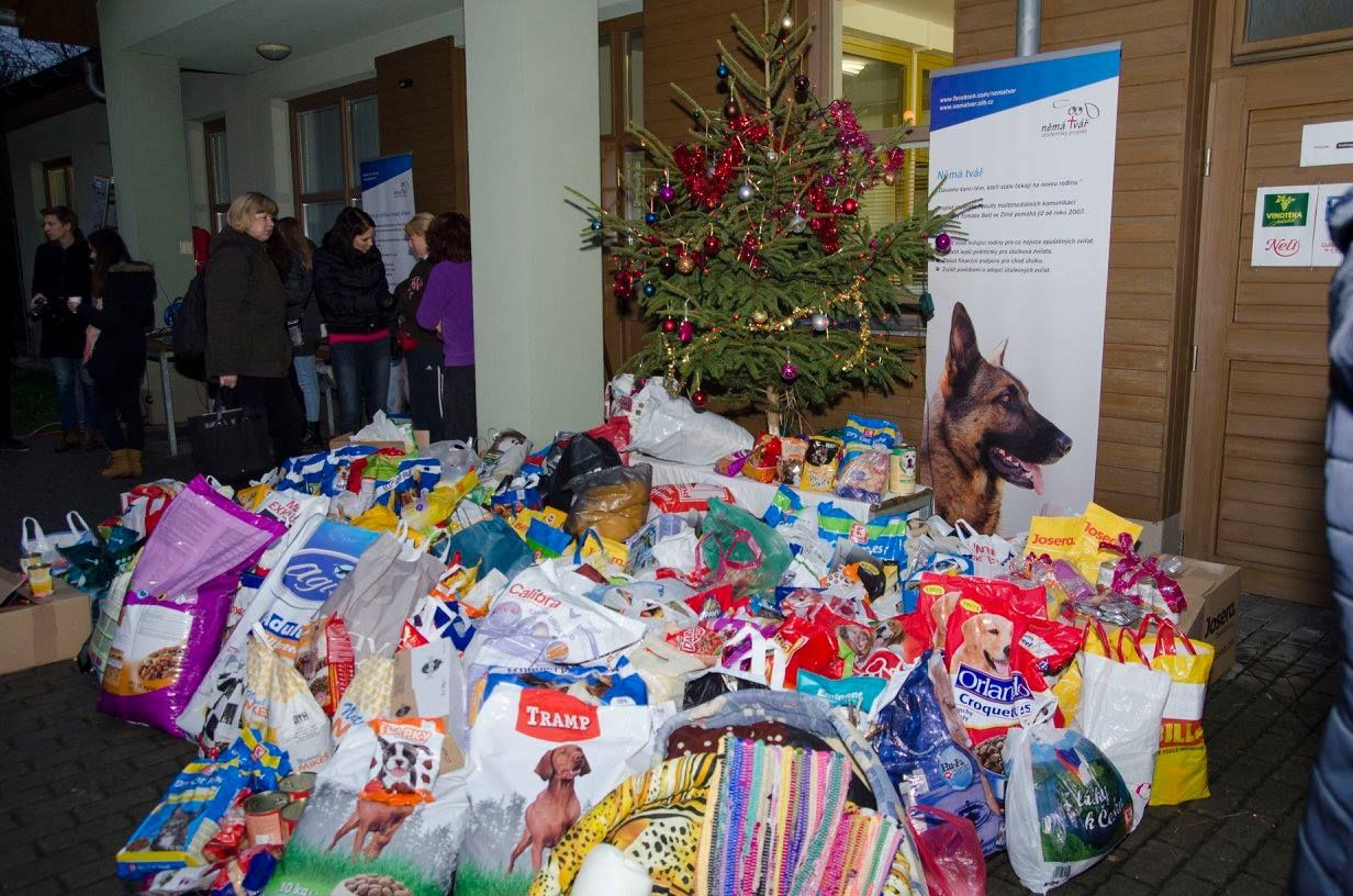 12371167_1094880107202667_5926372339921945998_o