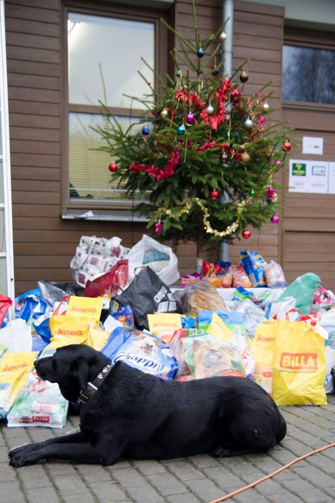 12374742_1094875483869796_8767516203202883375_o