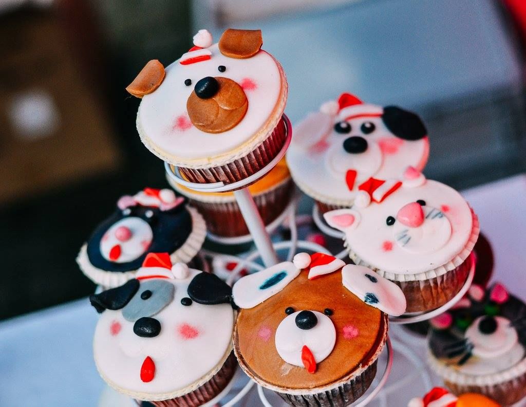 12377911_1095093140514697_4413268525901345089_o