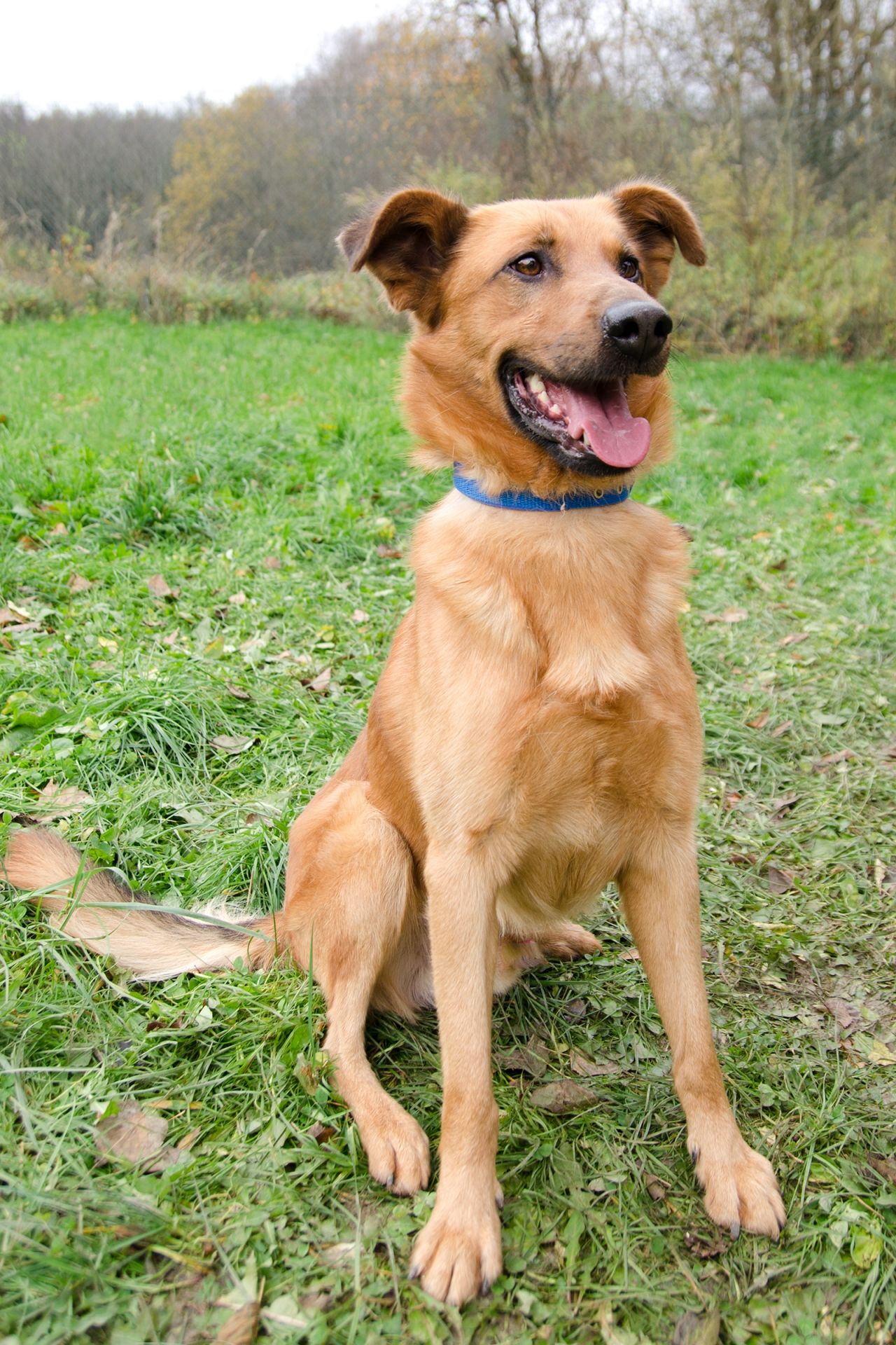 Arik-2-men%C5%A1%C3%AD