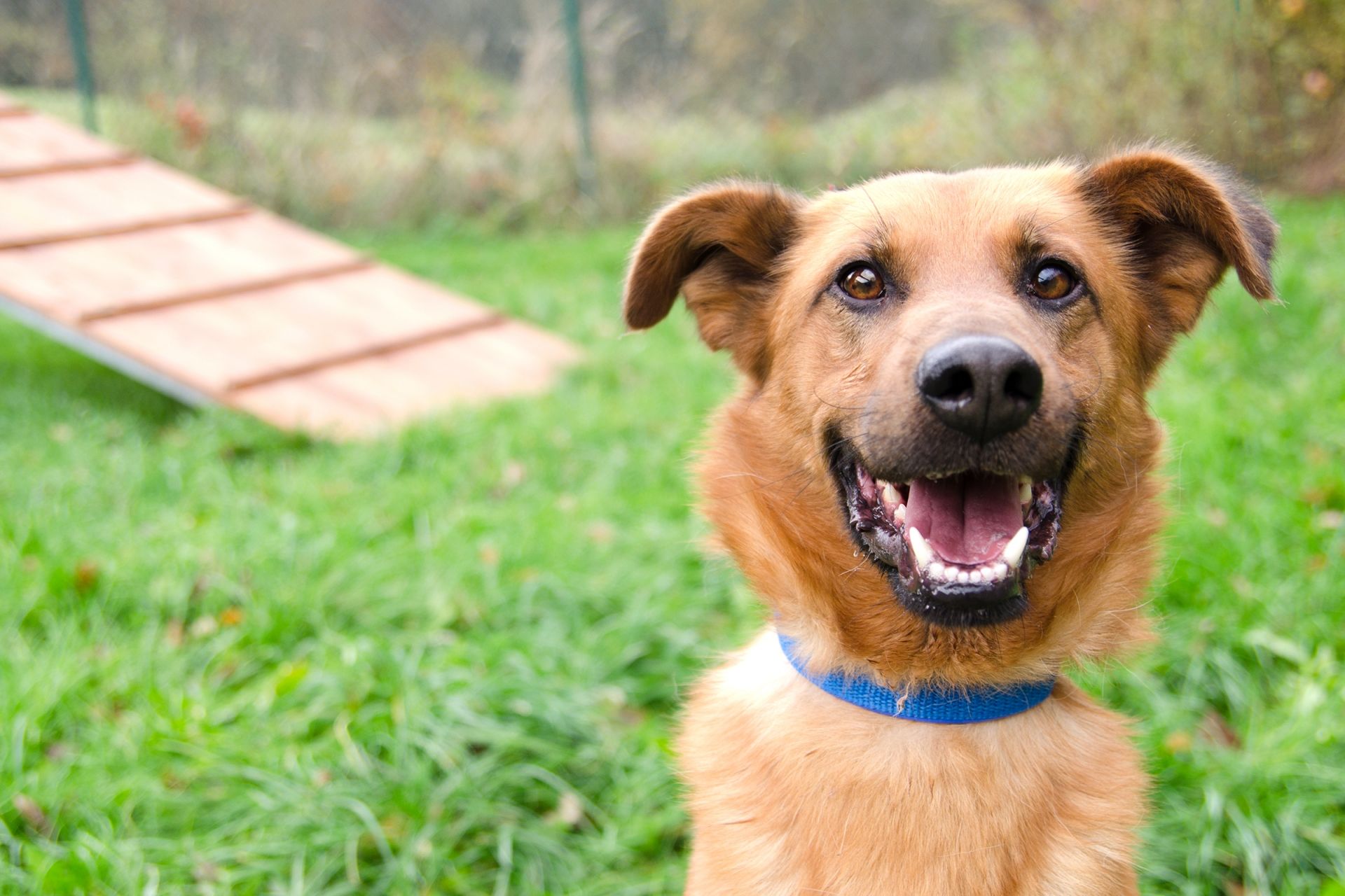 Arik-4-men%C5%A1%C3%AD