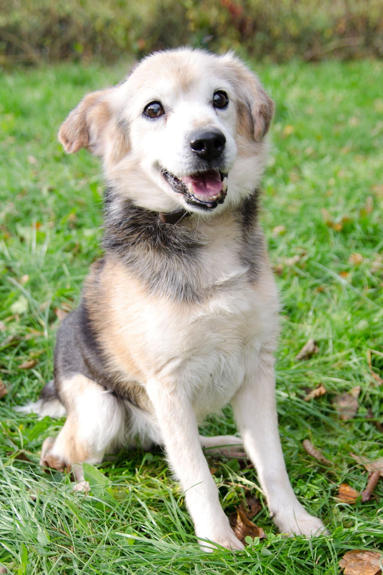 Bed%C5%99ich-3-men%C5%A1%C3%AD