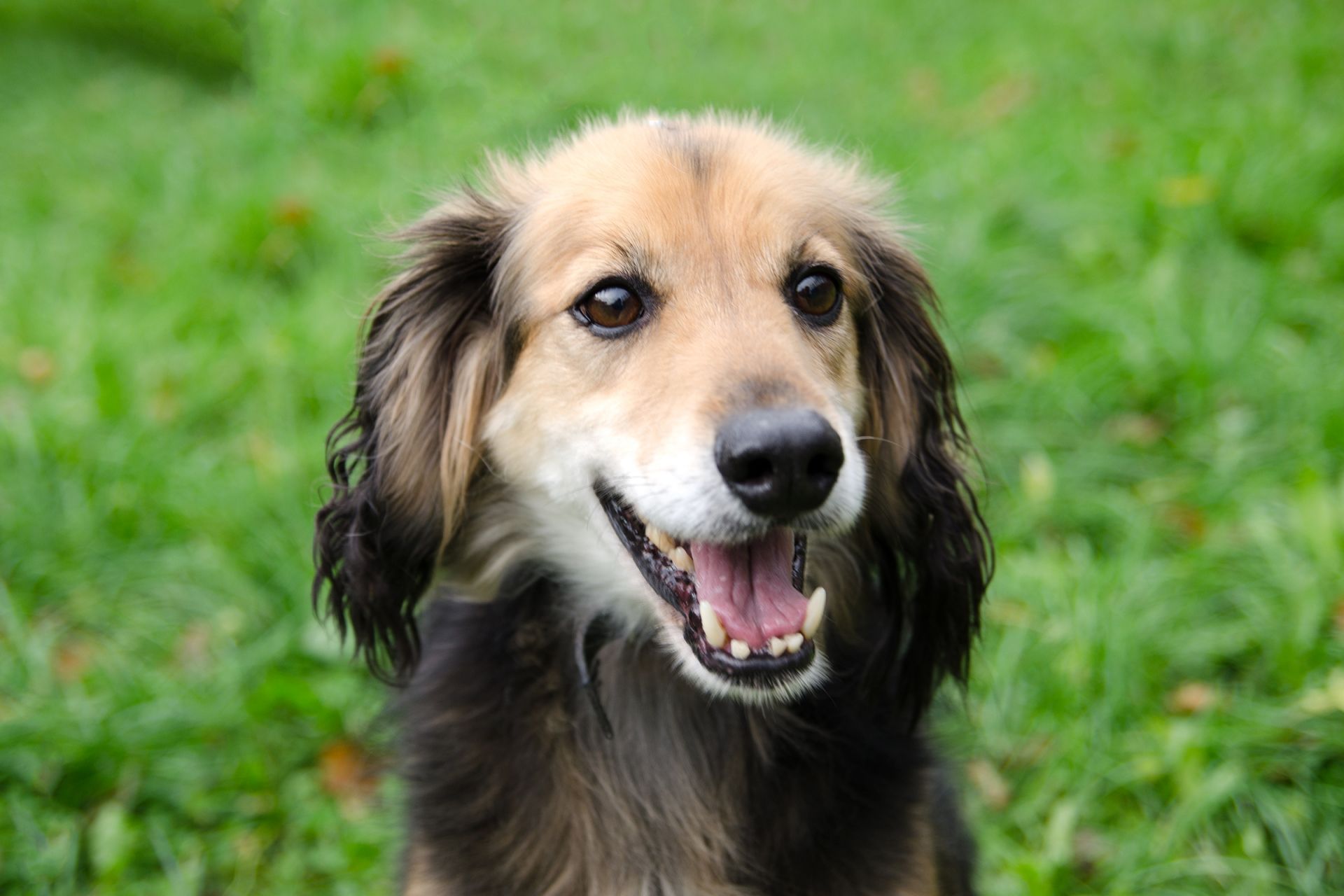 Brix-men%C5%A1%C3%AD